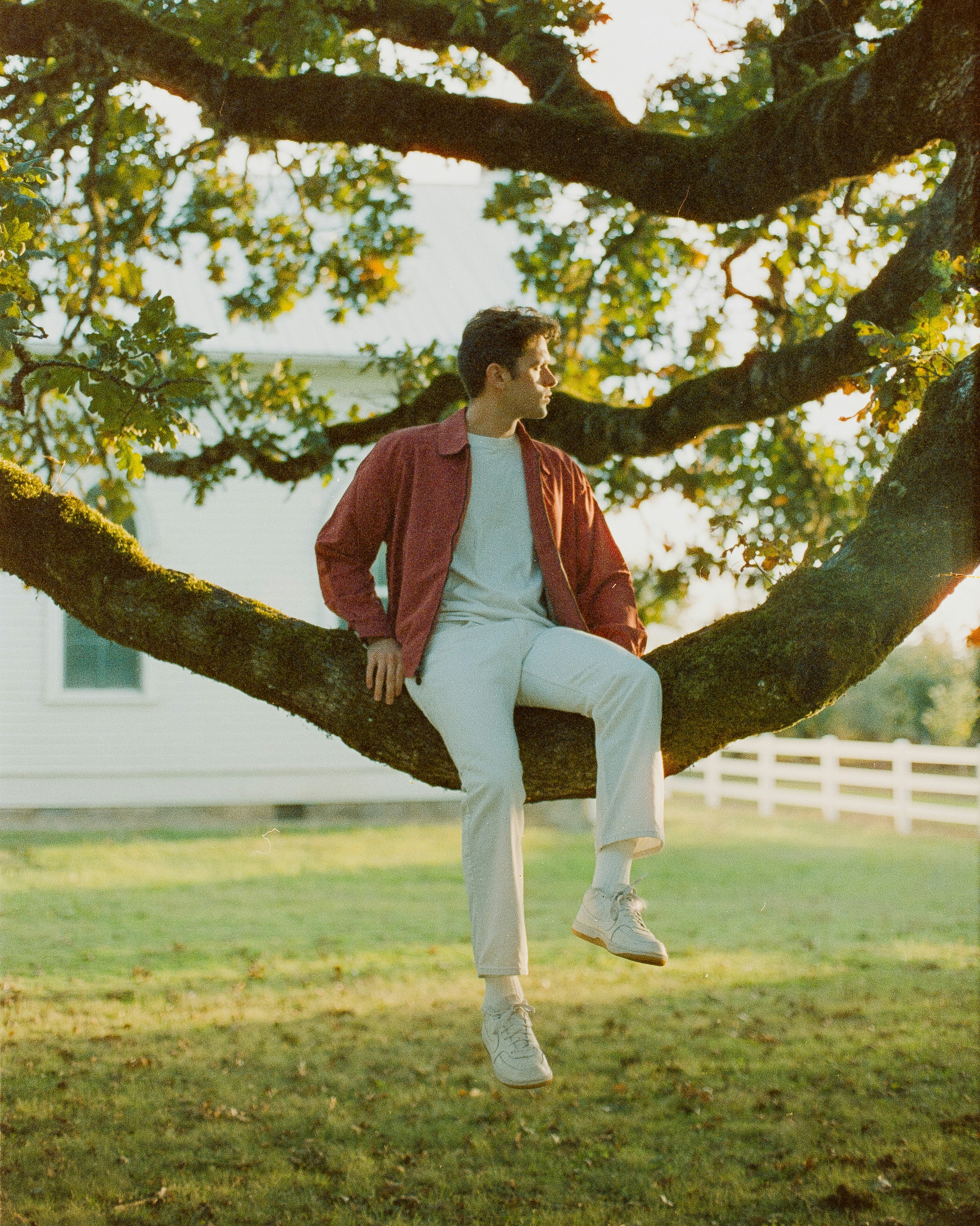 a man sitting on a tree branch in a field