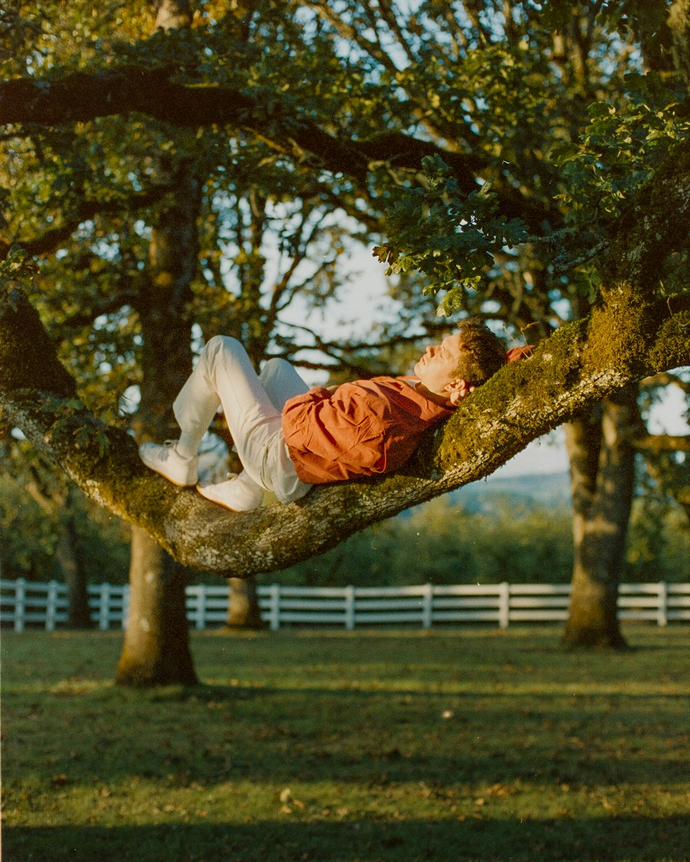 a man laying on a tree branch in a field
