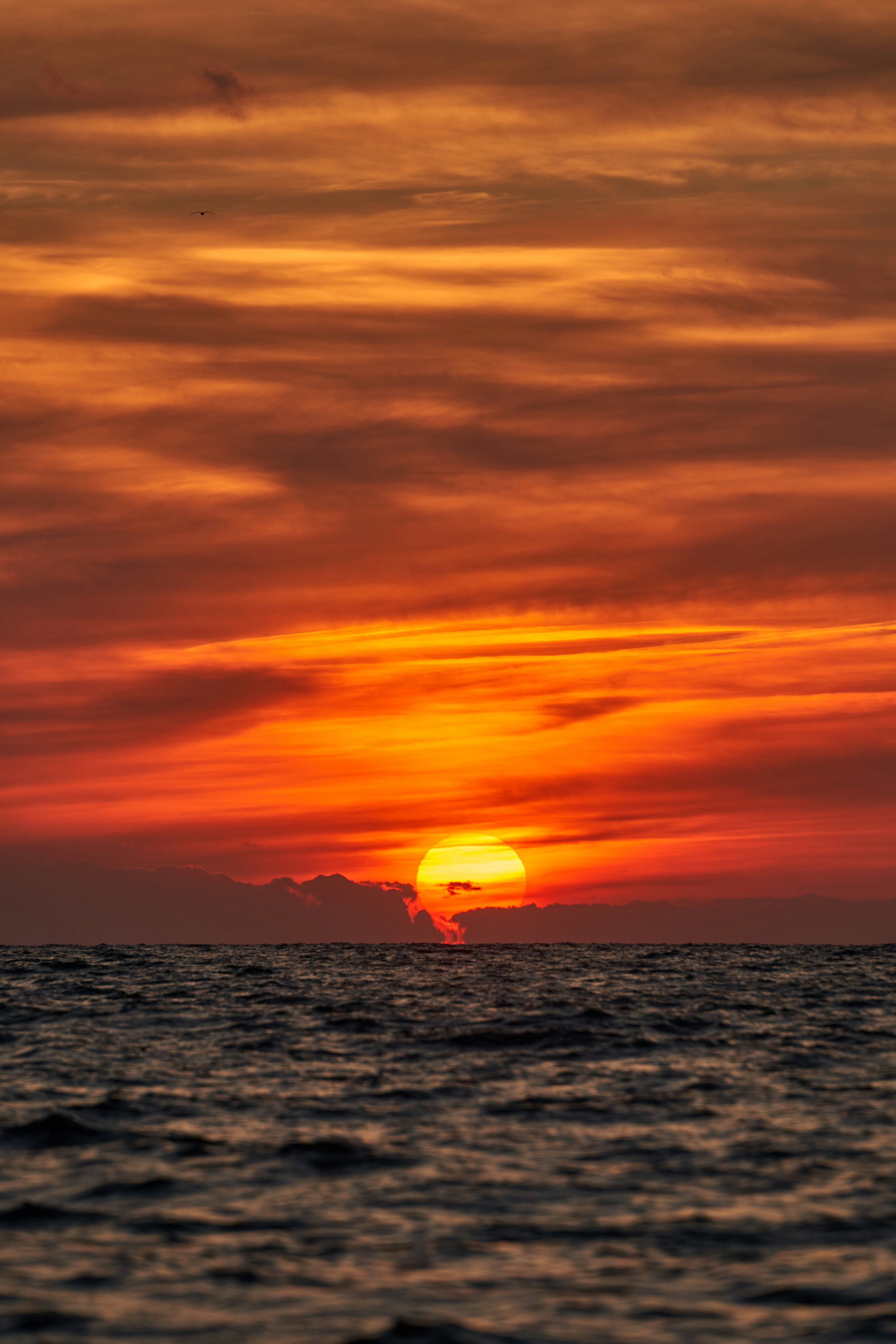 Photo by wolfgang_hasselmann