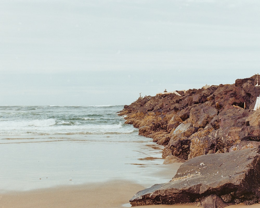 a woman standing on a rocky beach next to the ocean