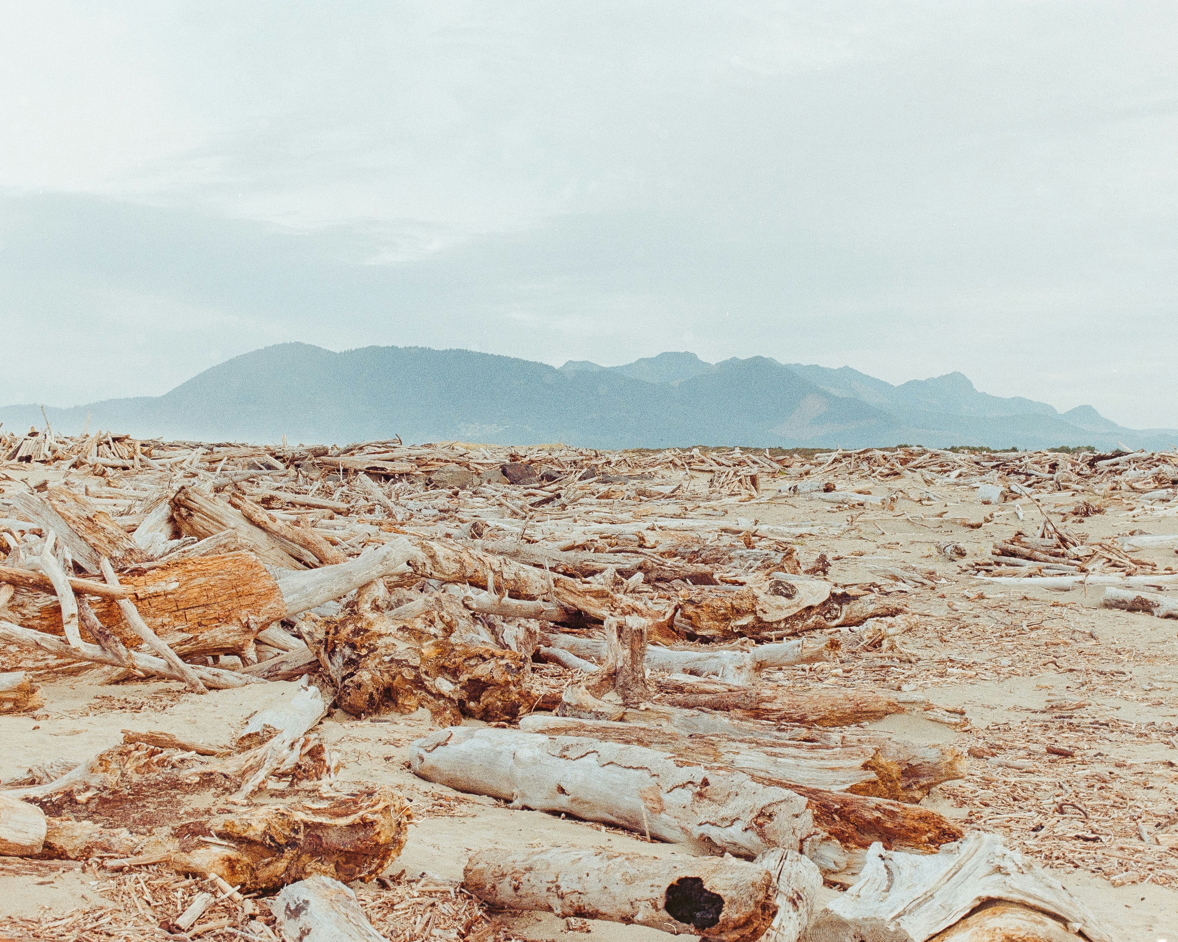 a pile of wood sitting on top of a sandy beach
