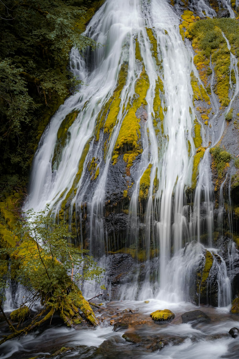 a waterfall with moss growing on the side of it