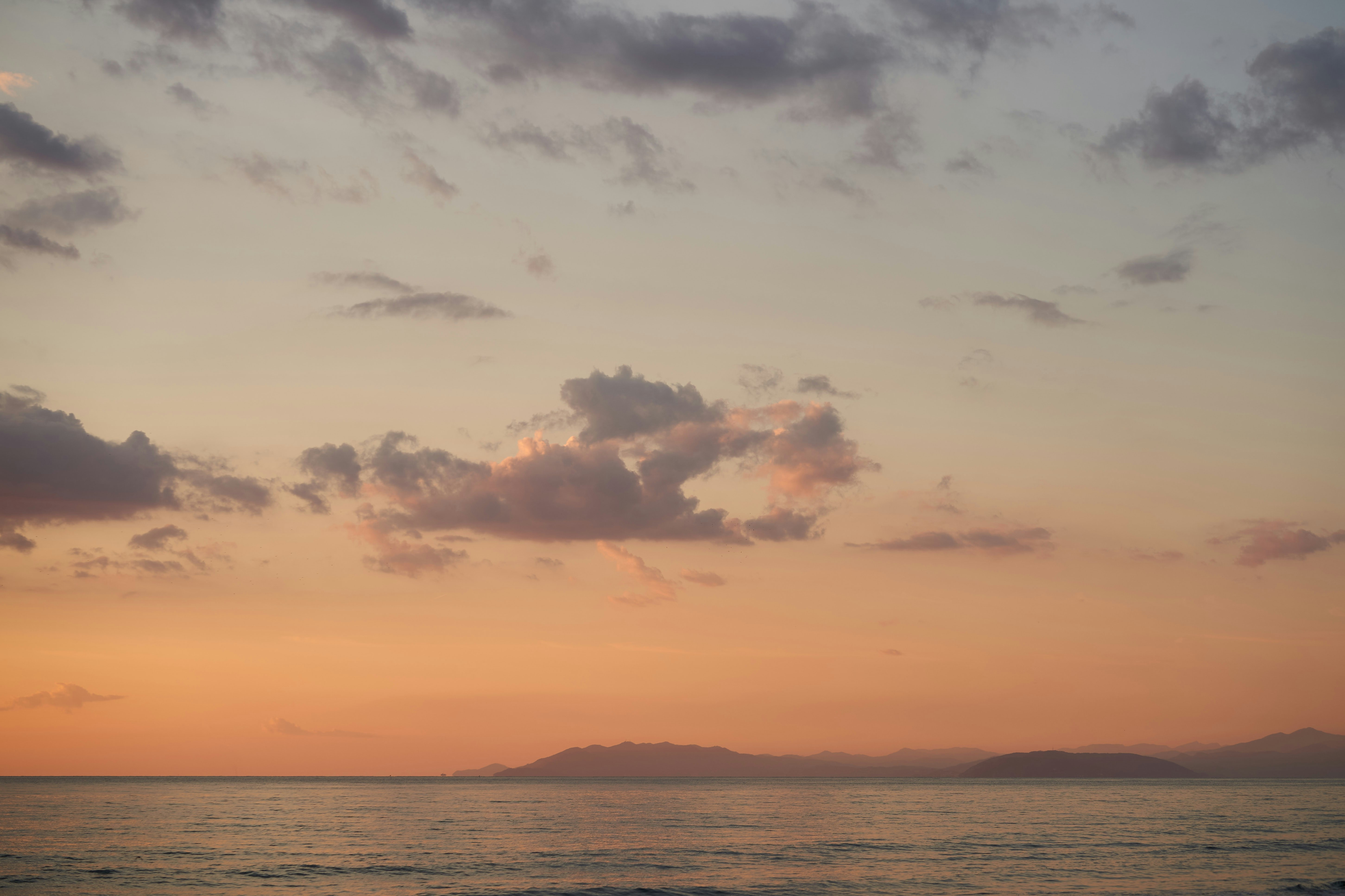 Photo by wolfgang_hasselmann