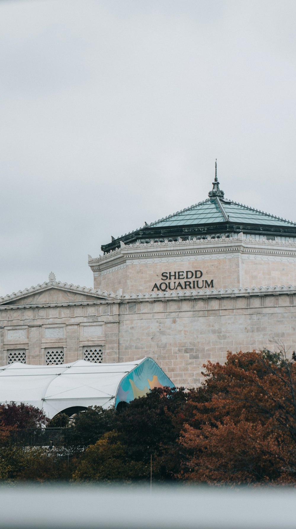 a view of a building from across the street