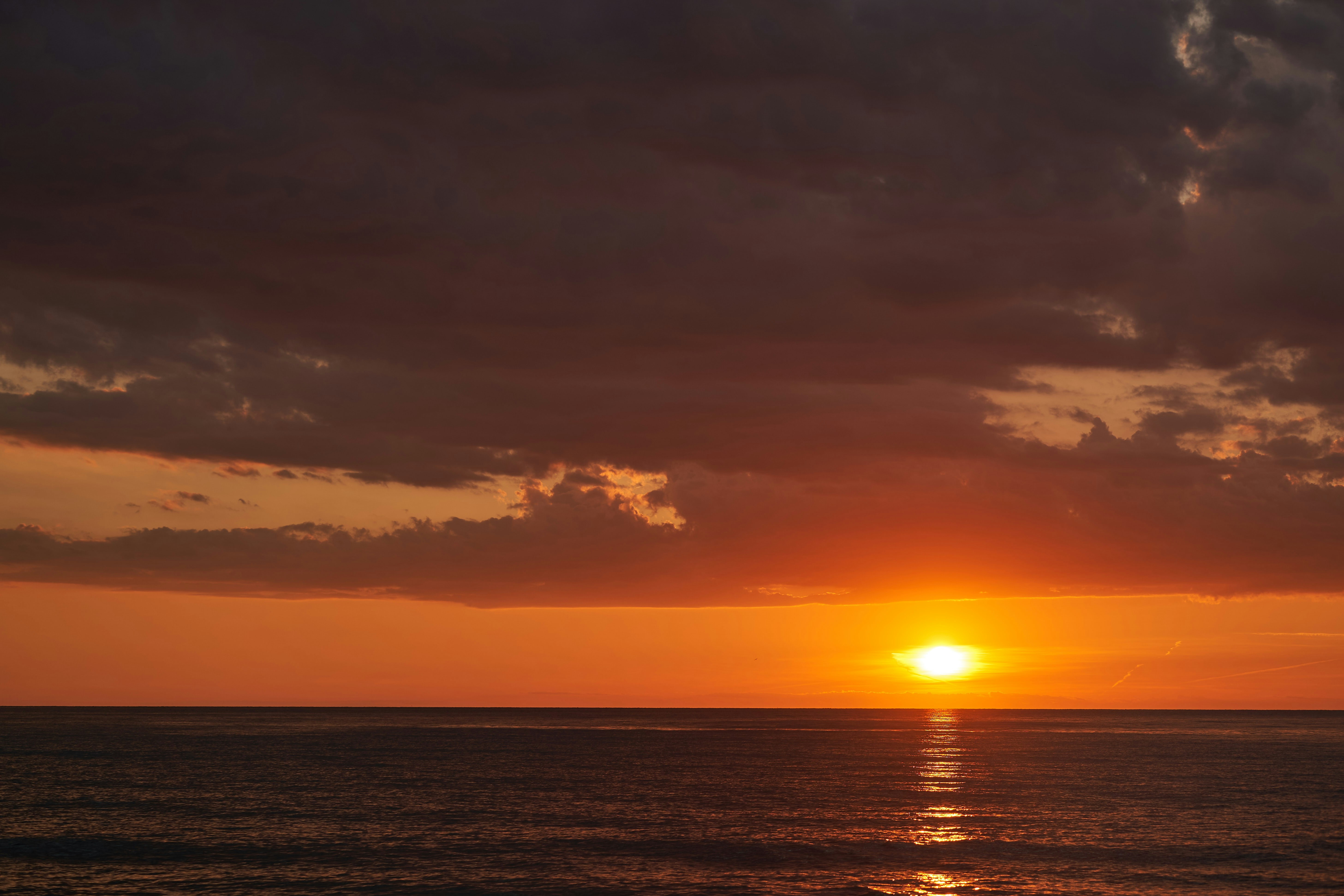 Photo by wolfgang_hasselmann