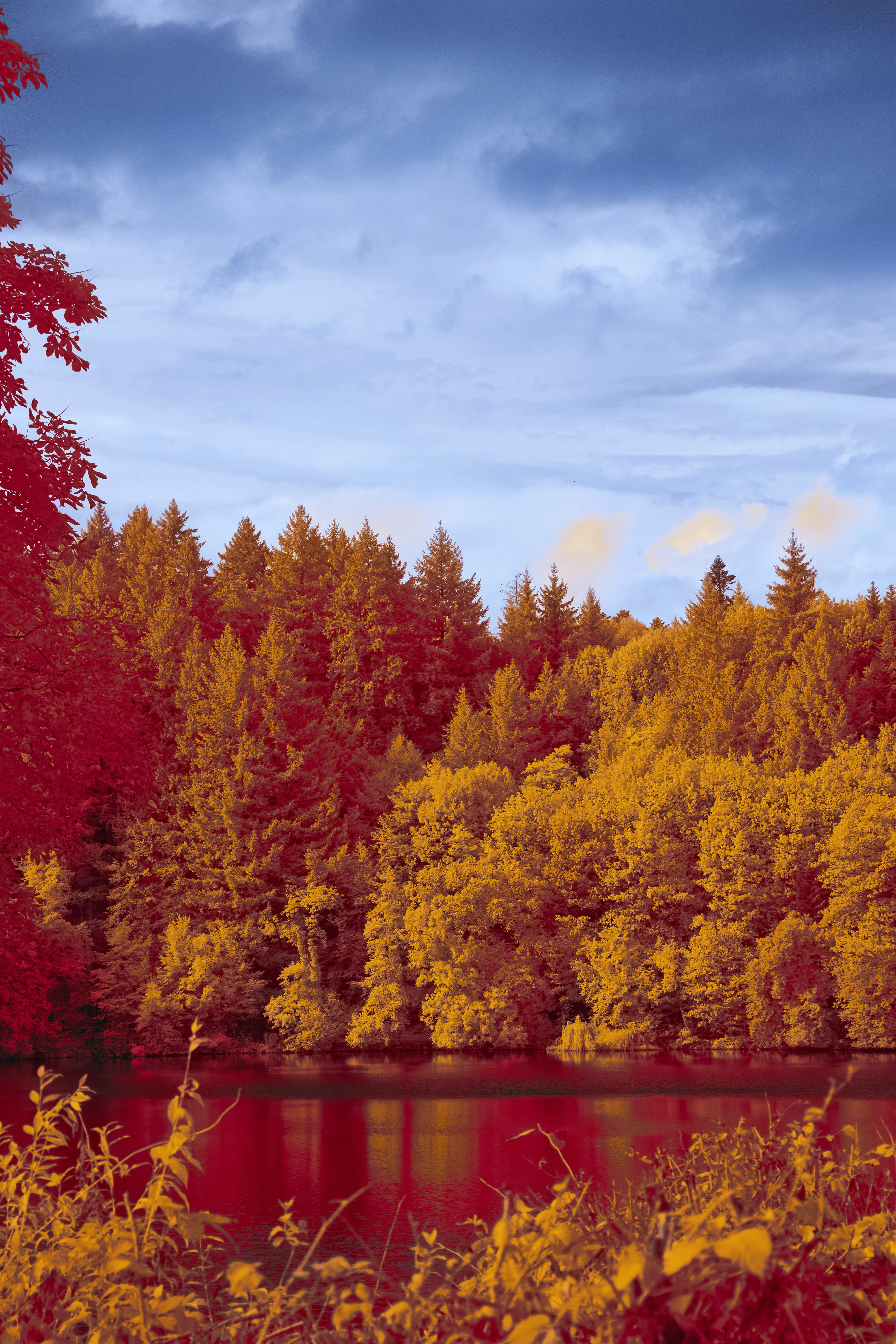 Photo by wolfgang_hasselmann