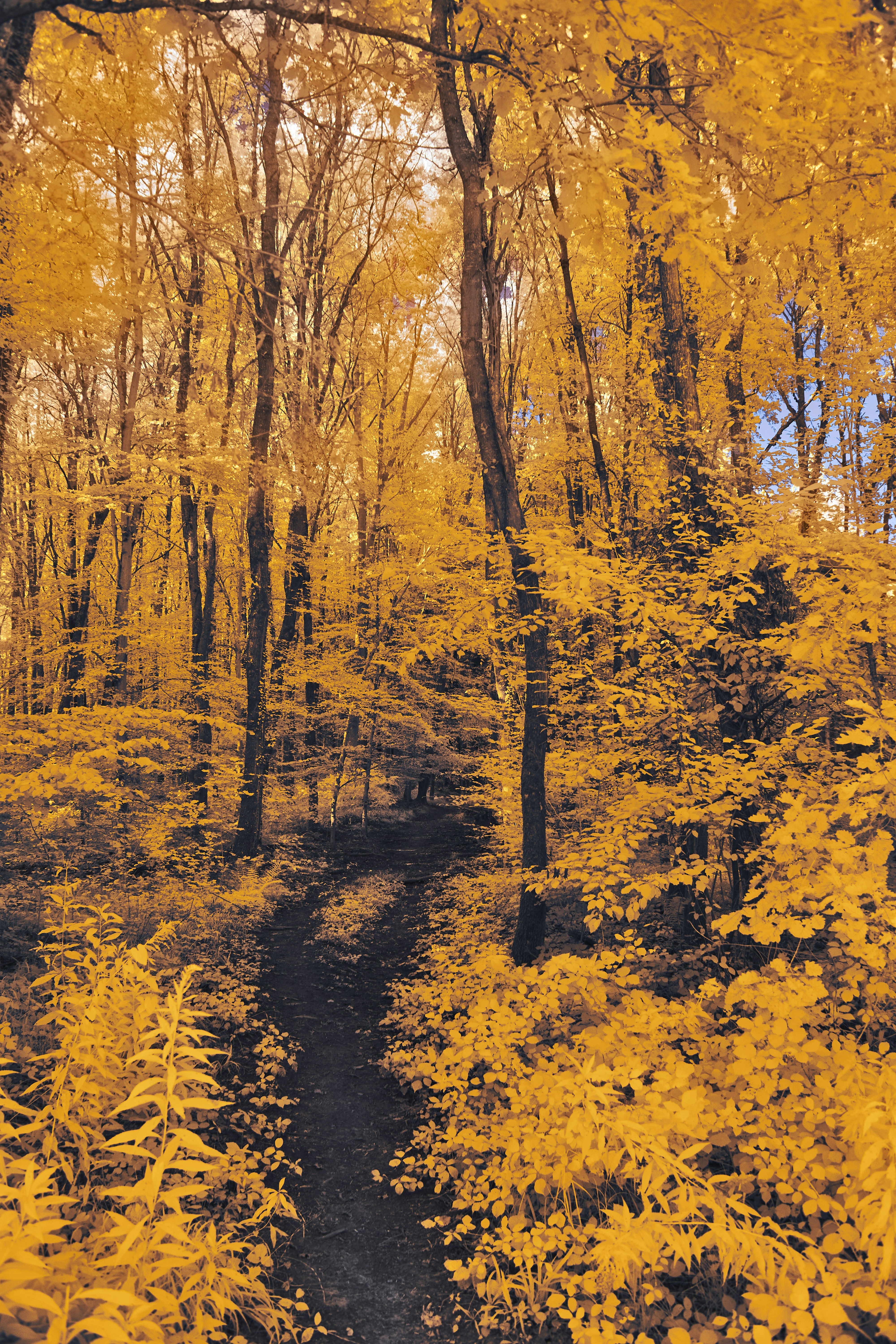 Photo by wolfgang_hasselmann