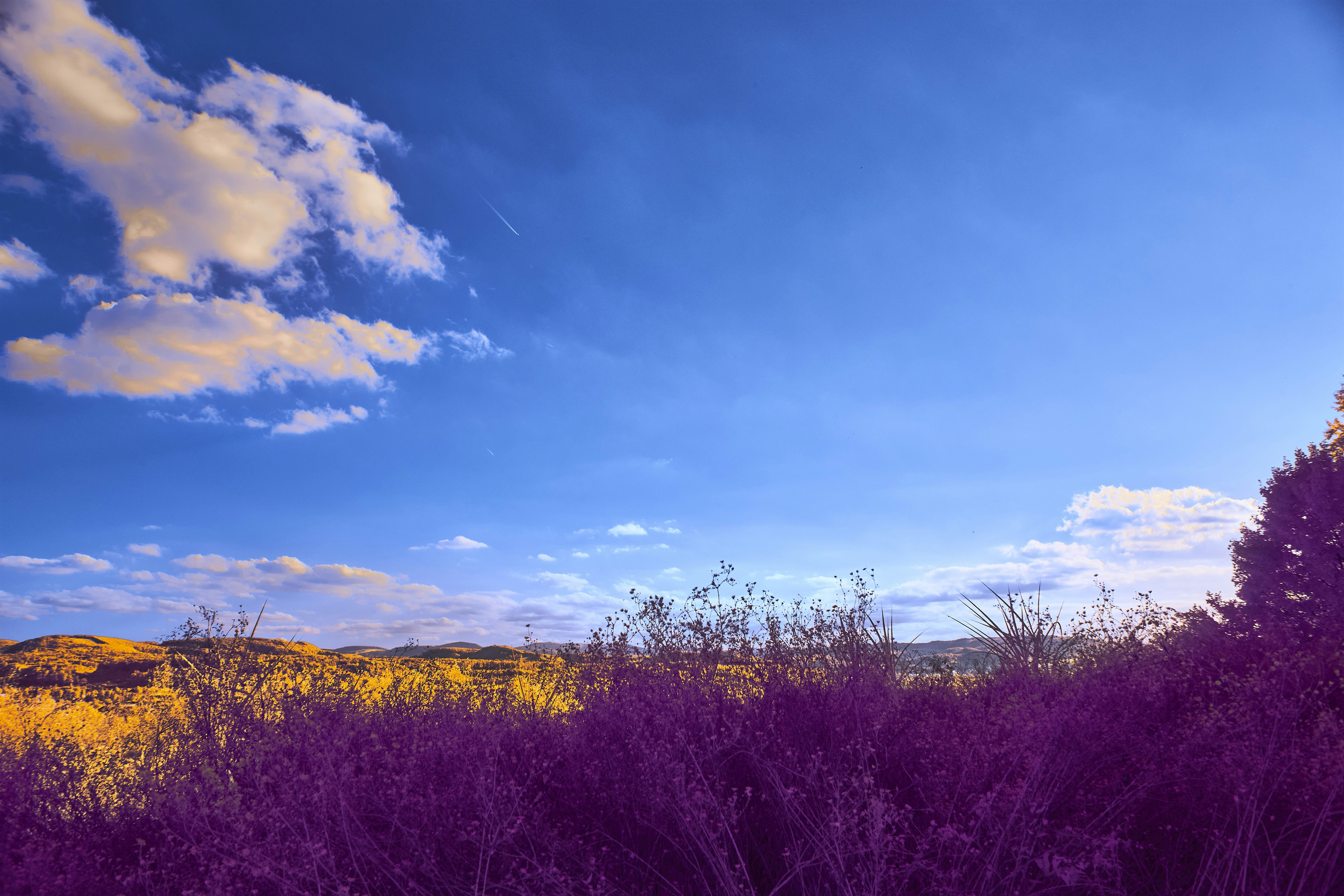 Photo by wolfgang_hasselmann