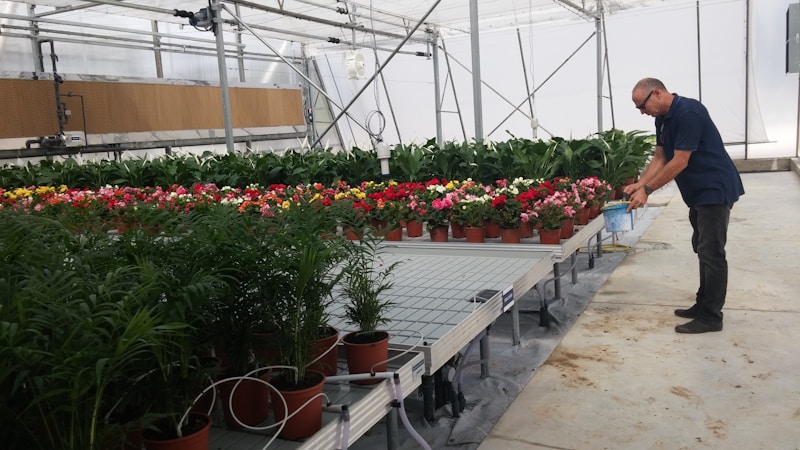 Plantcare