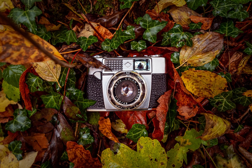 an old camera laying on the ground surrounded by leaves