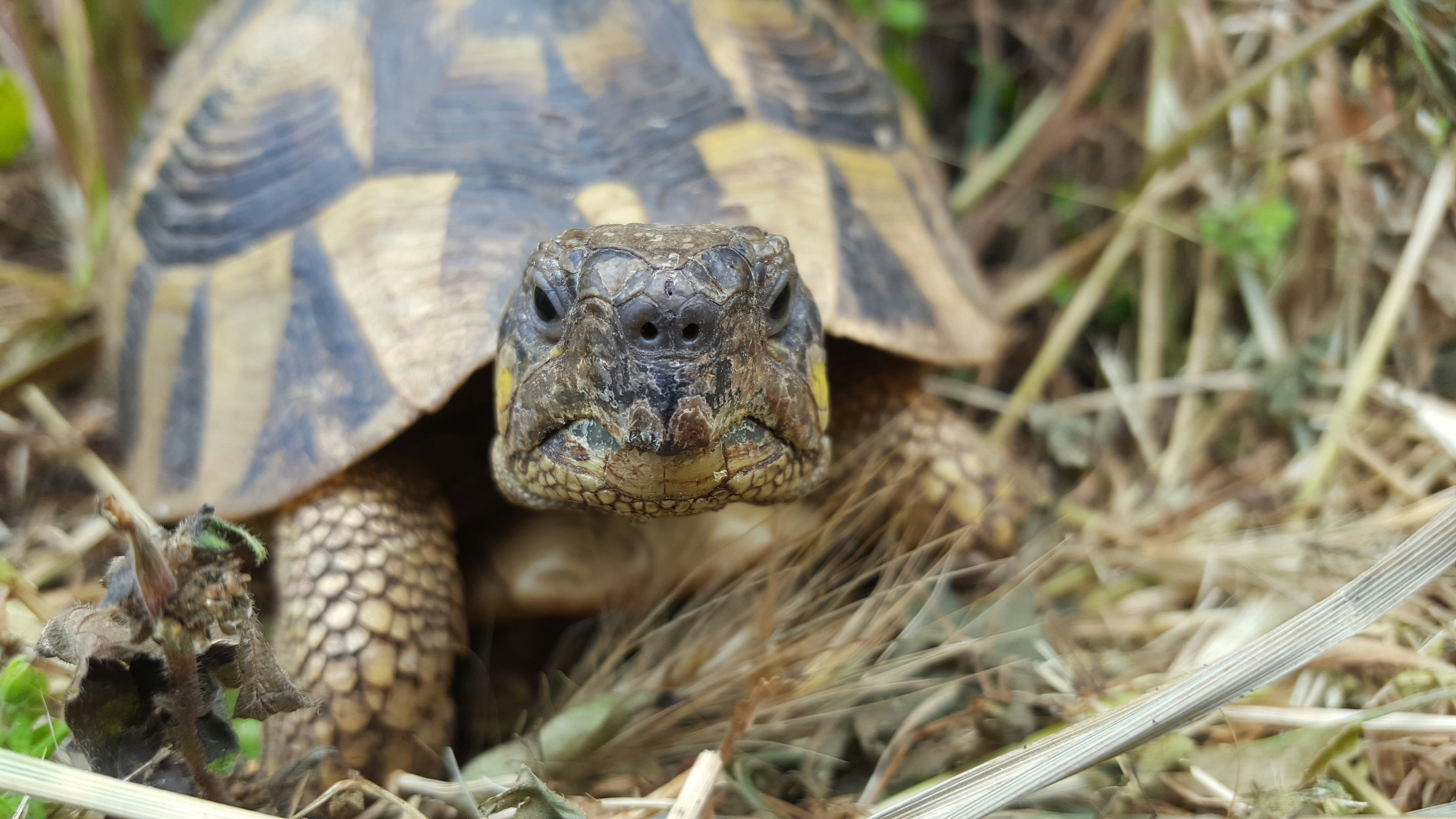 Photo by toredenstore