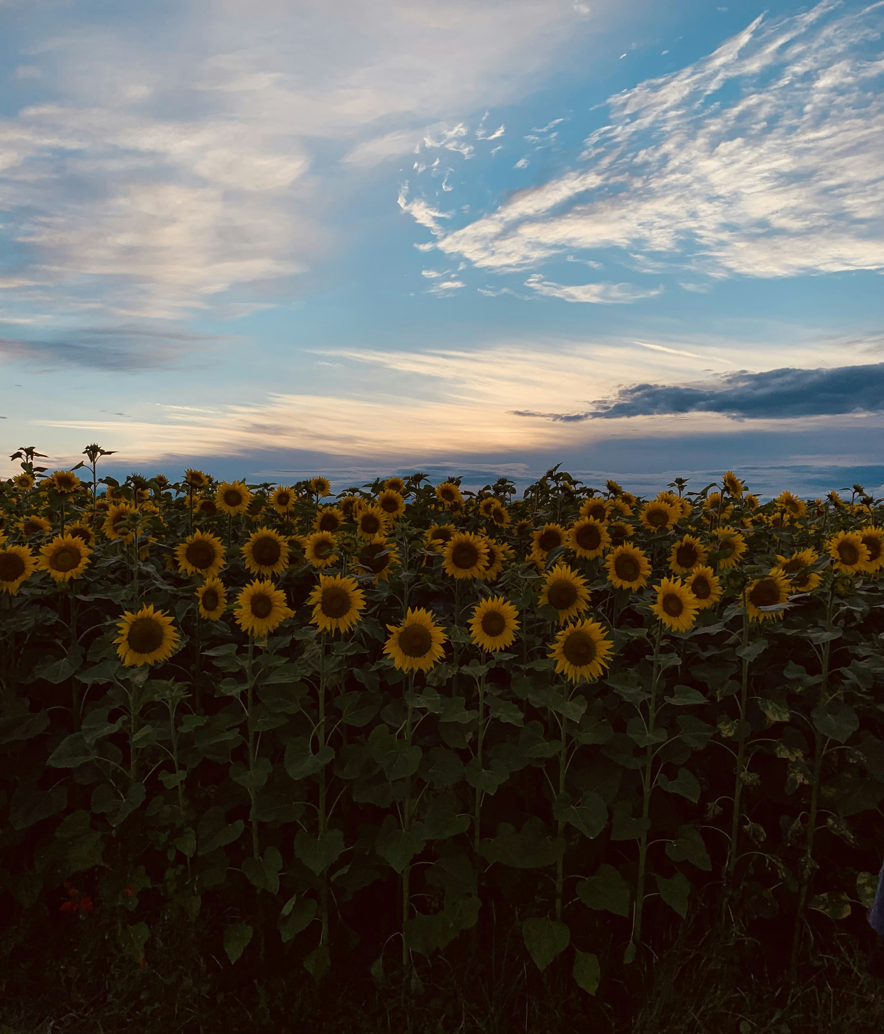 Photo by rayyanbrh
