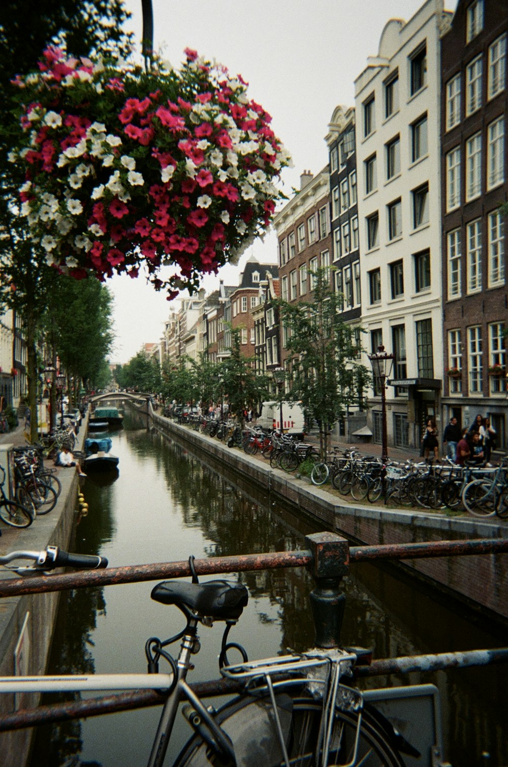 a bicycle parked on the side of a river