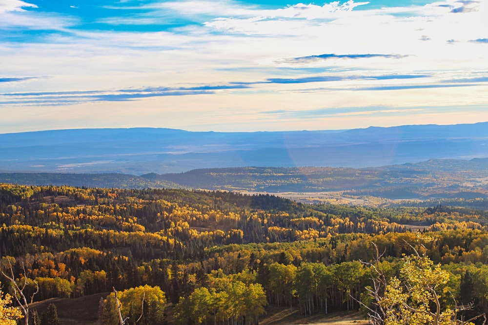 a scenic view of a forest with mountains in the background