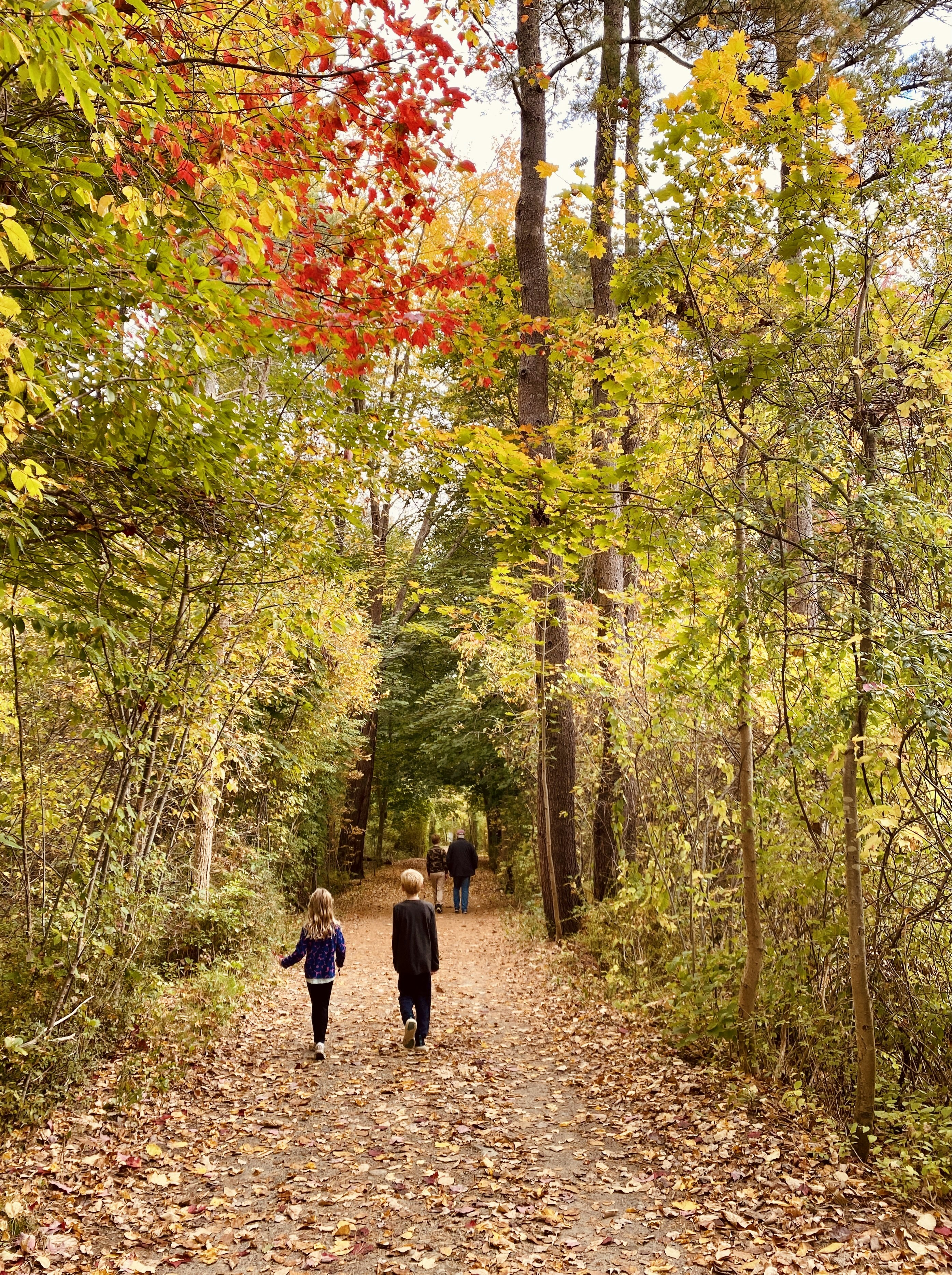 um casal de pessoas andando por uma estrada de terra