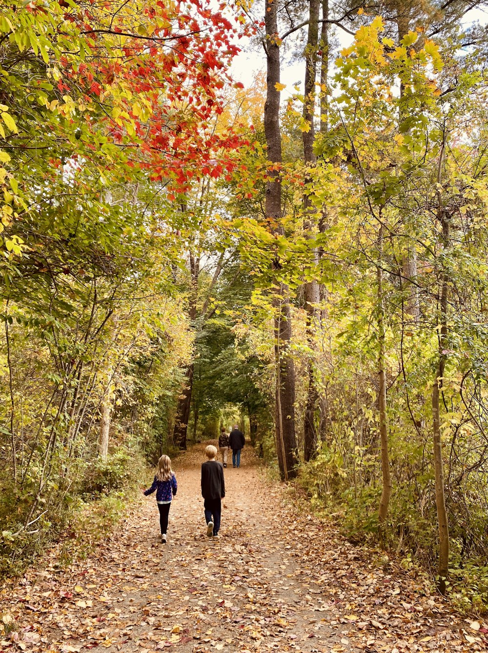 a couple of people walking down a dirt road