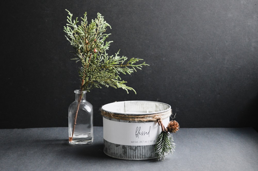 a potted plant sitting next to a glass bottle