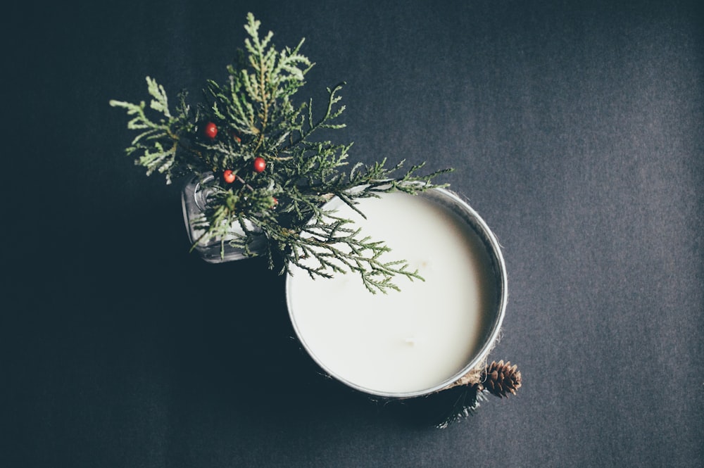 a glass of milk with a sprig of greenery on top of it
