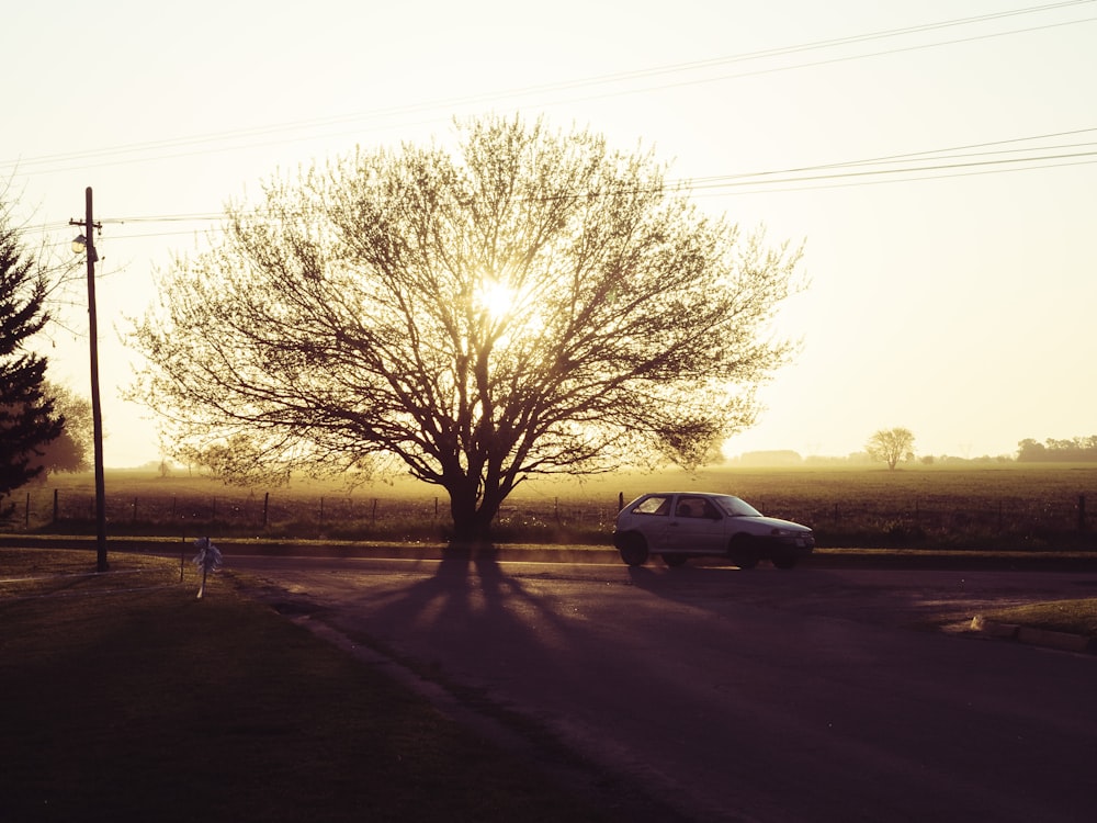 a car parked on the side of a road next to a tree