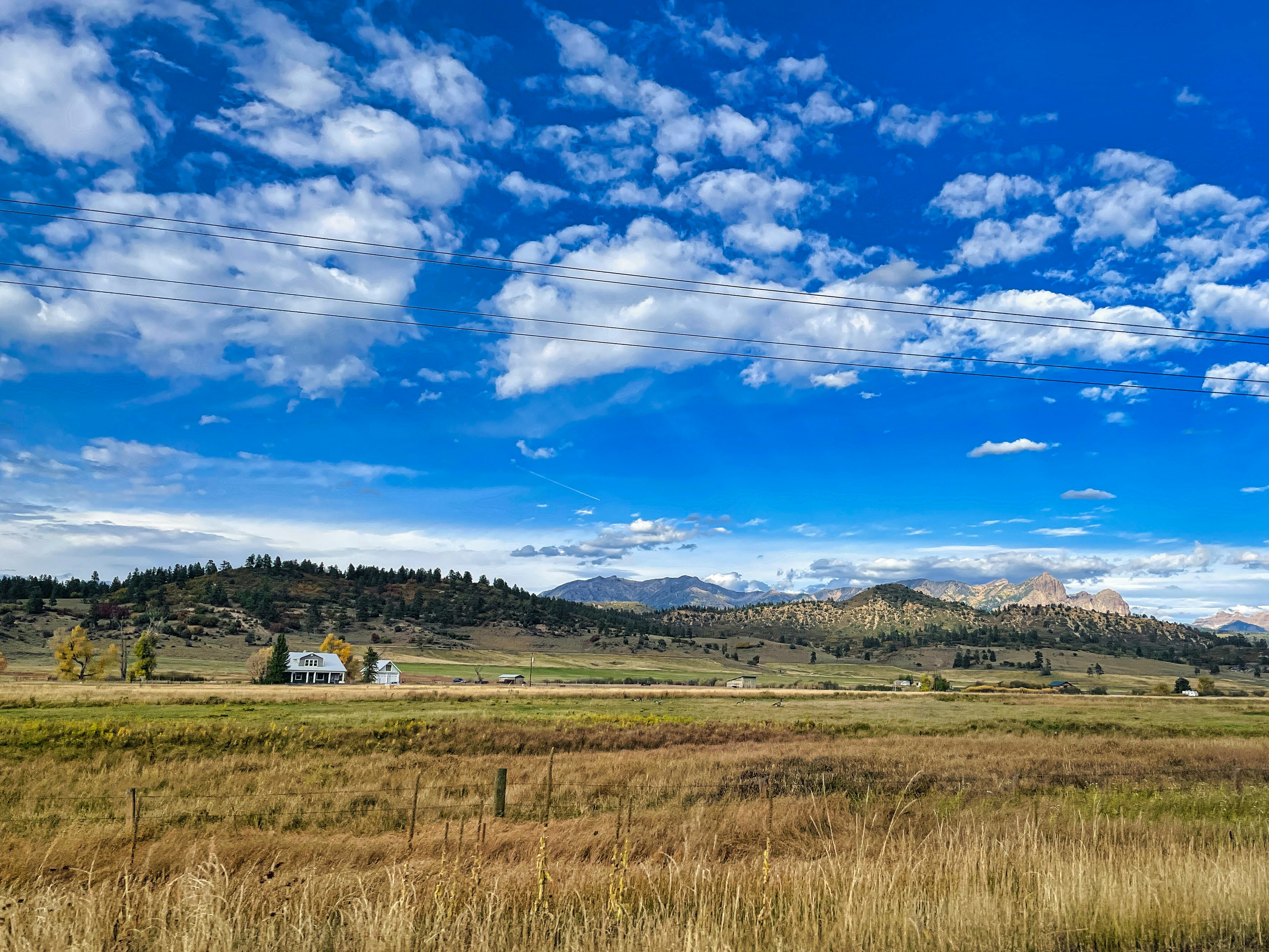 Photo by rajivperera