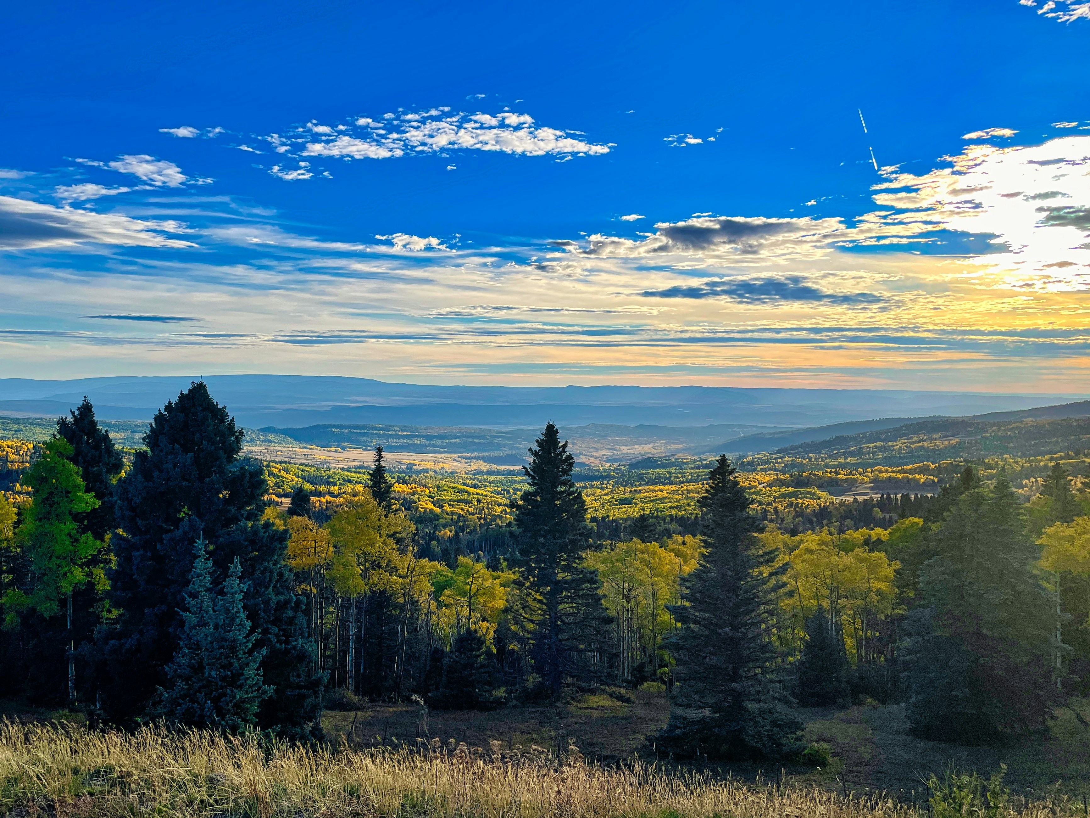 Photo by rajivperera