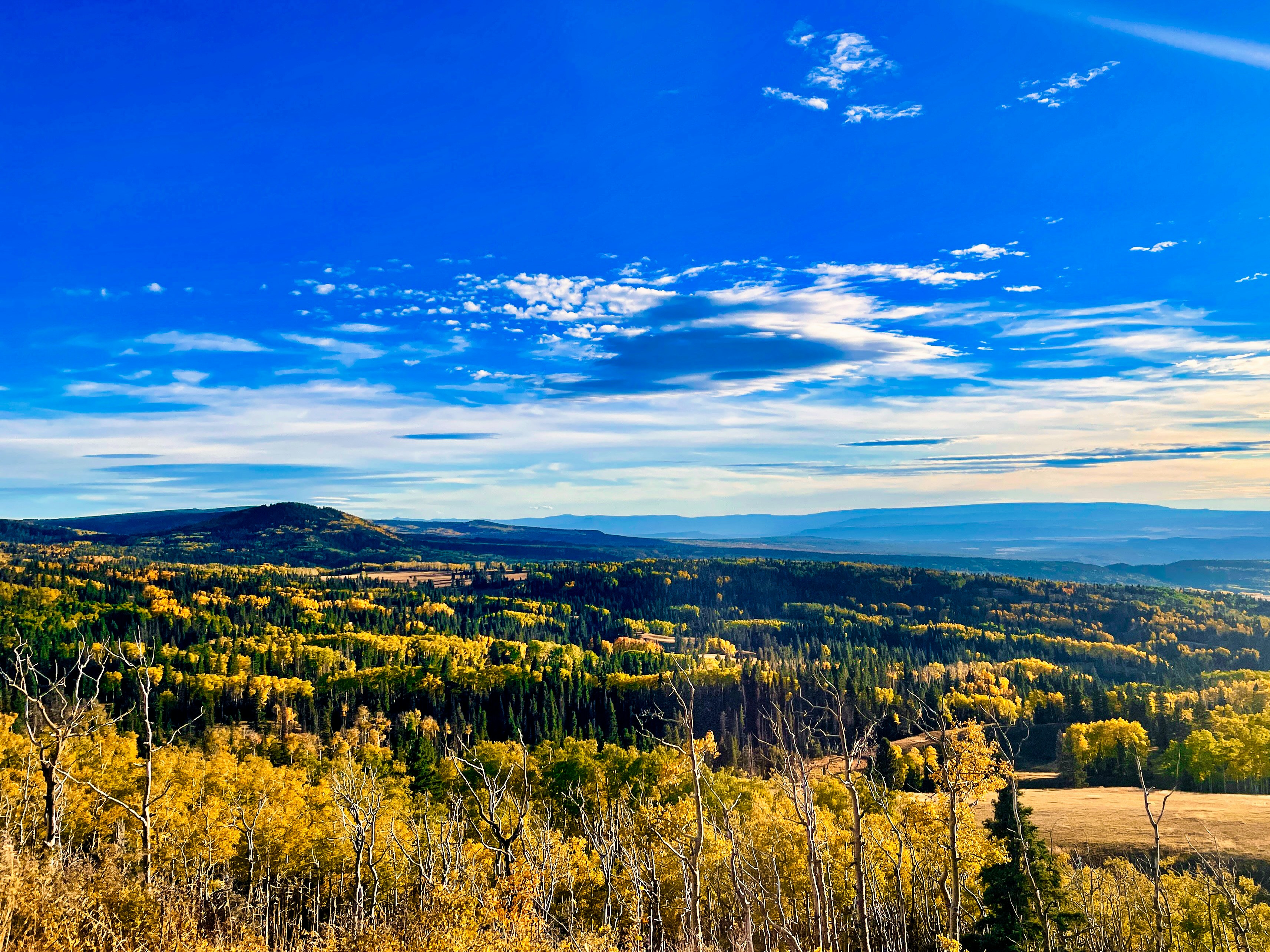 Photo by rajivperera