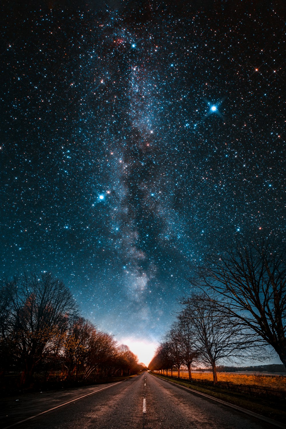 a road with trees and a sky full of stars