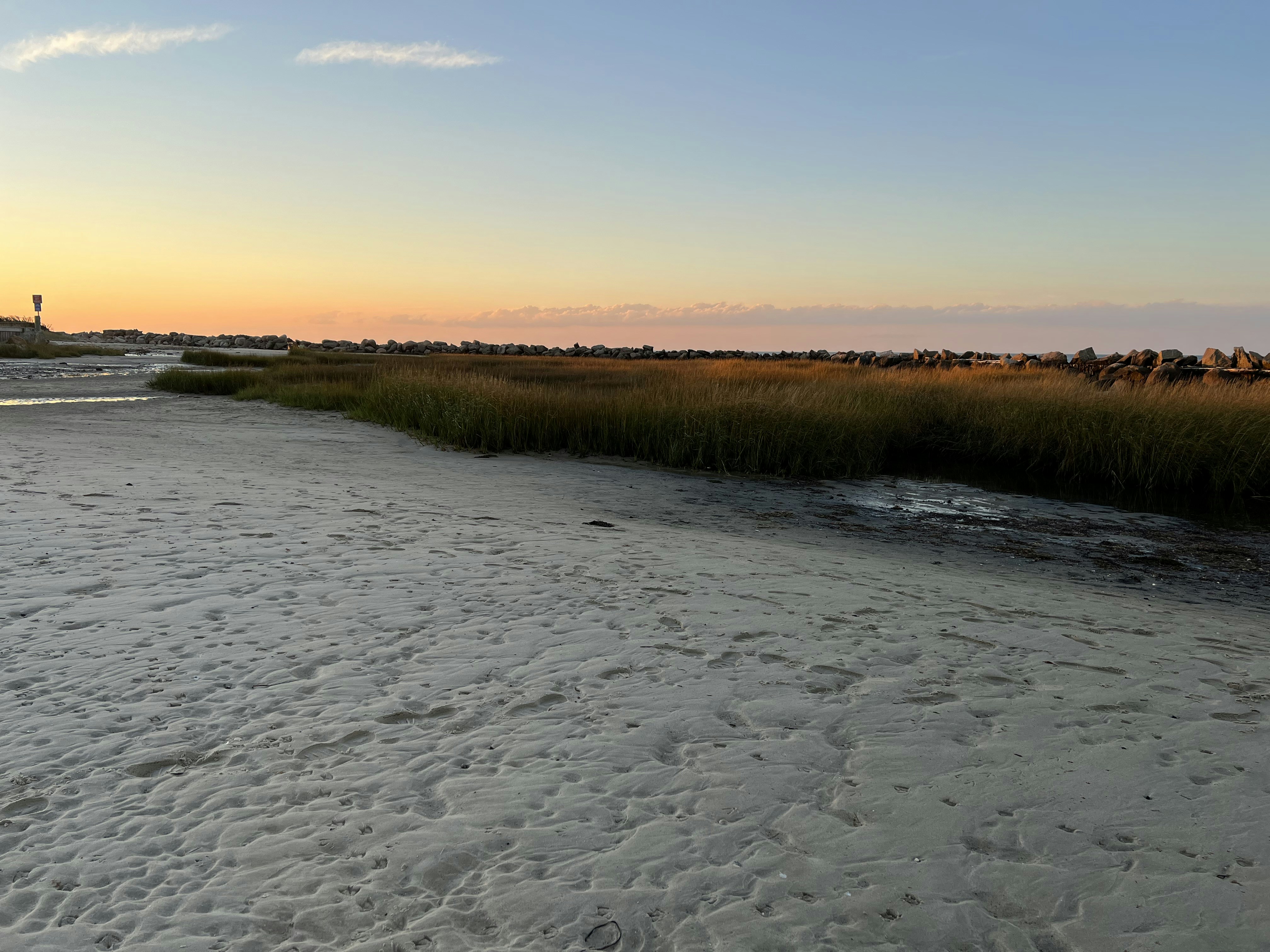 a sandy beach with grass and a lighthouse in the distance