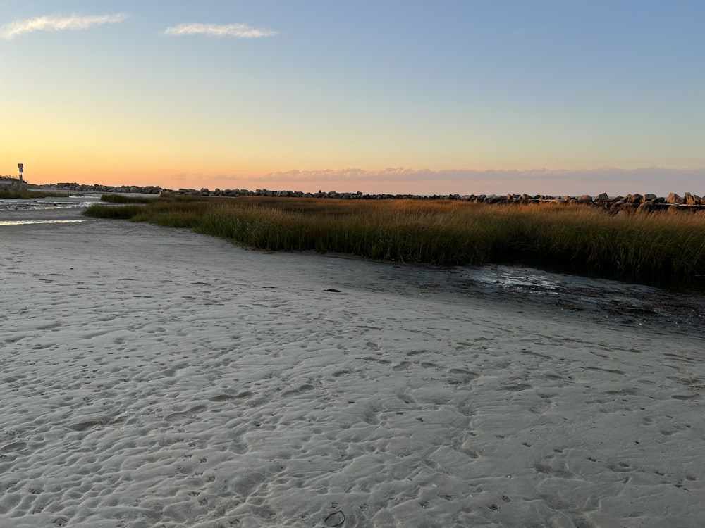 a sandy beach with grass and a lighthouse in the distance