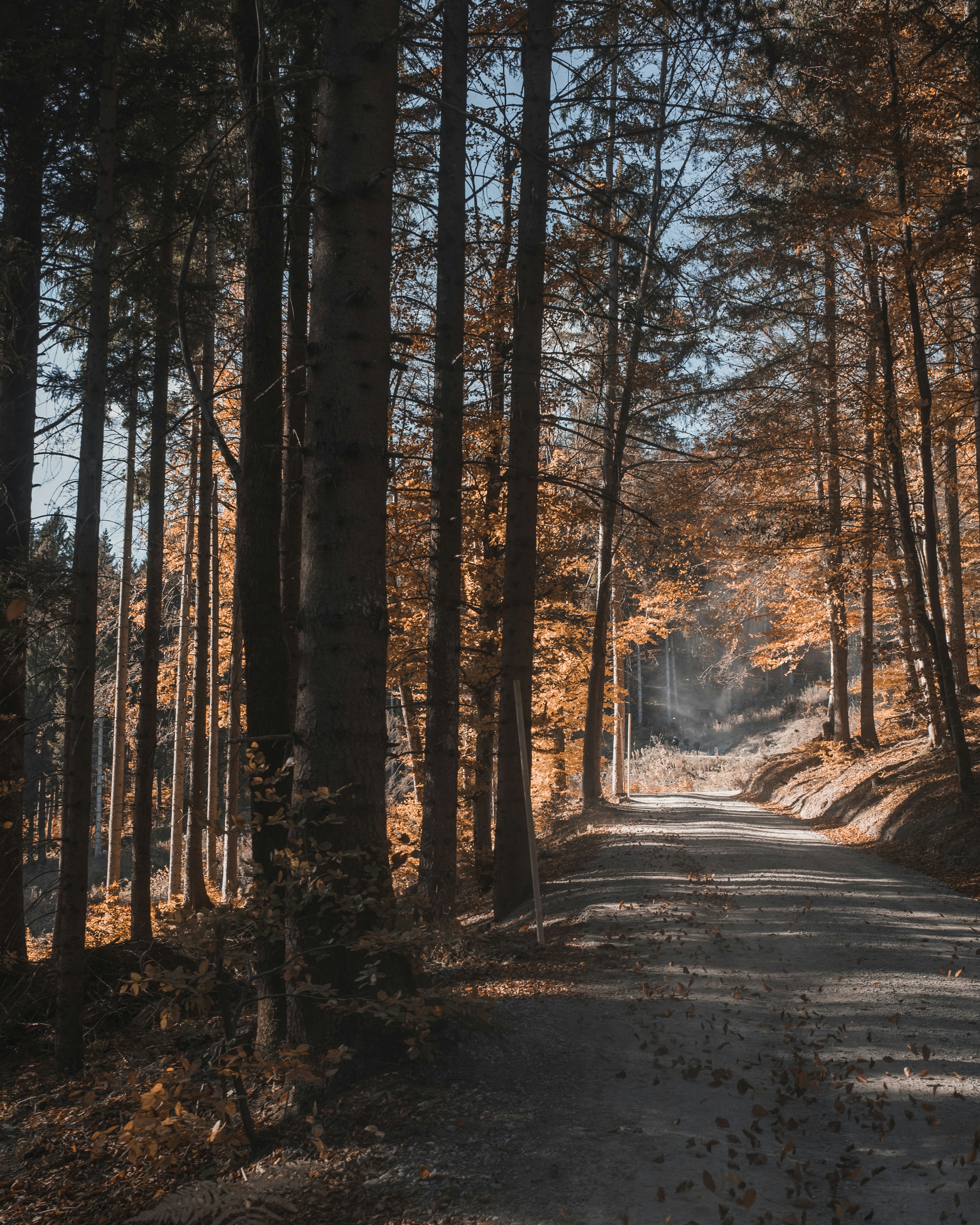 Photo by jefftrierweiler