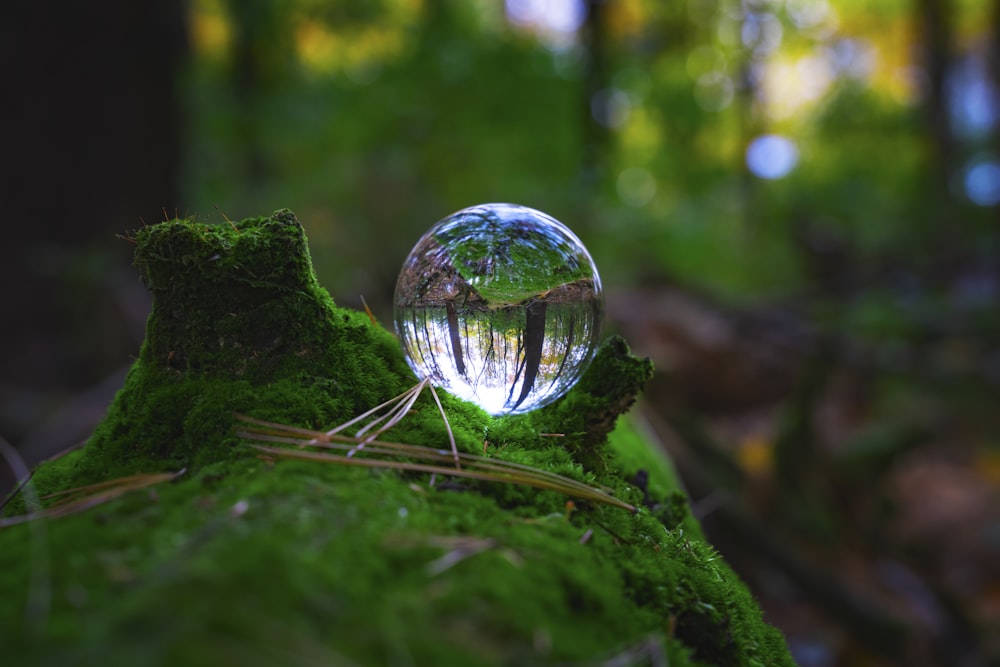 Eine Glaskugel sitzt auf einem moosbedeckten Baumstumpf
