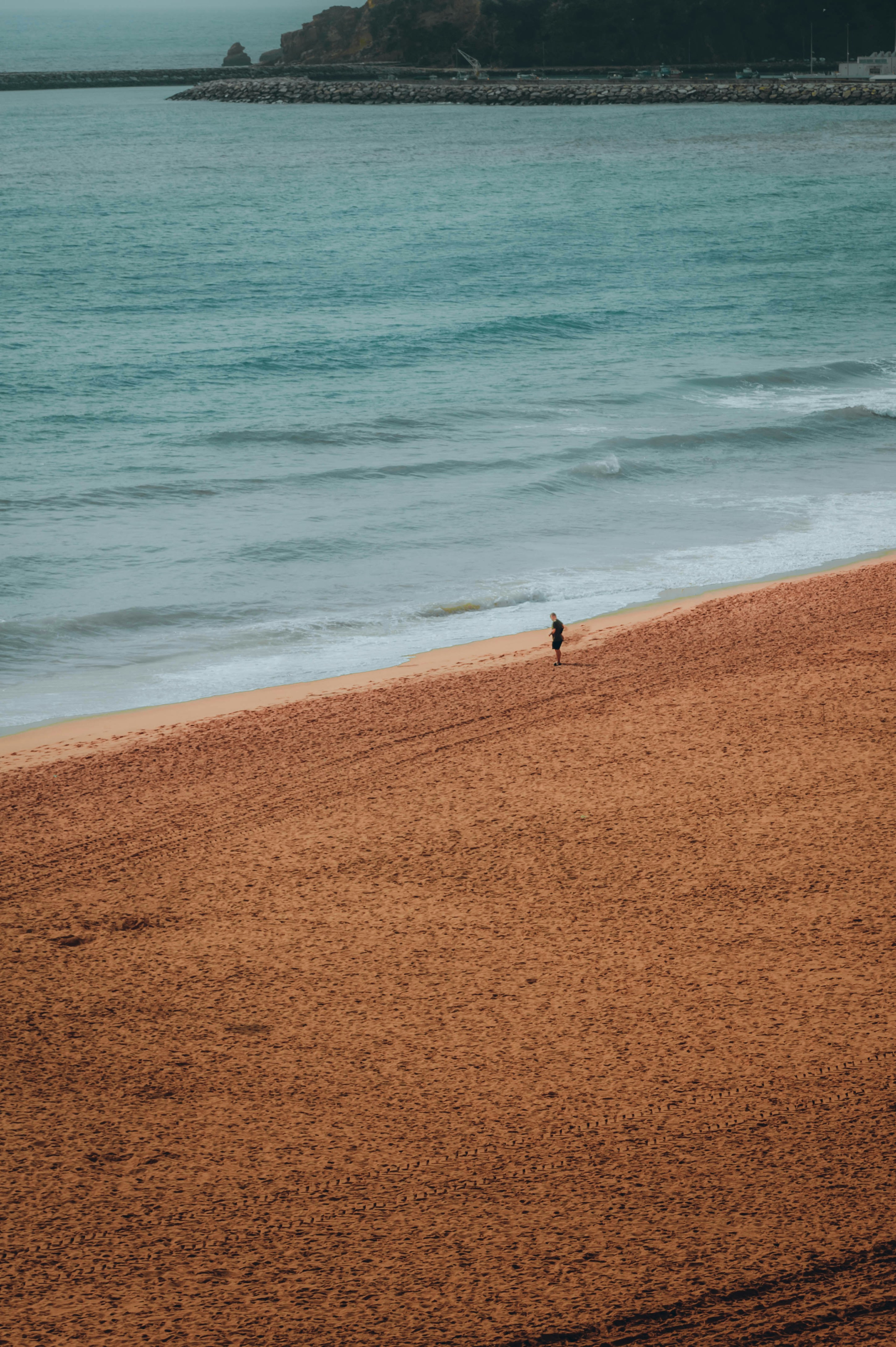a lone bird standing on a beach next to the ocean