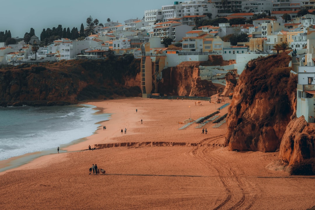 a group of people standing on top of a sandy beach