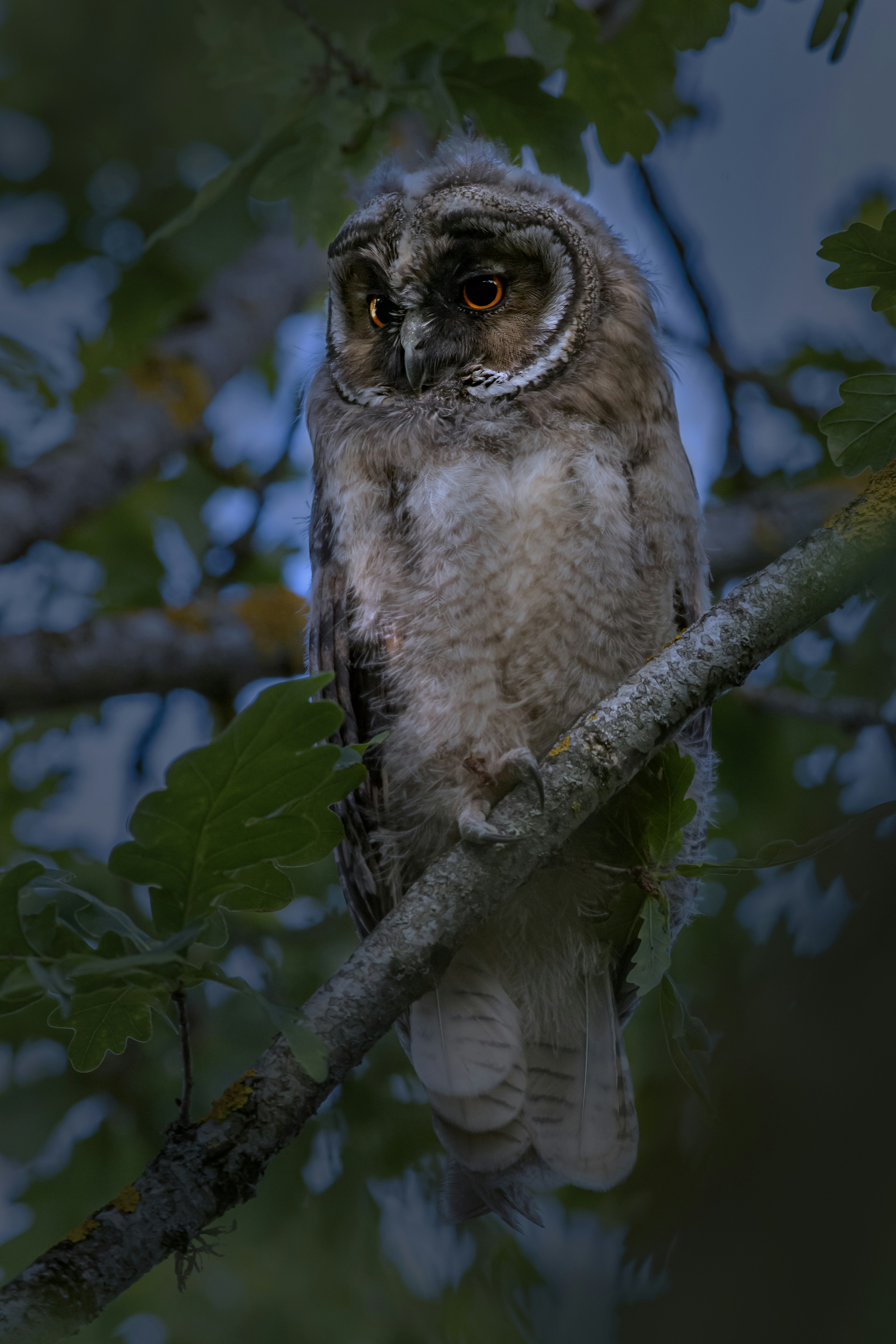 Photo by erik_karits