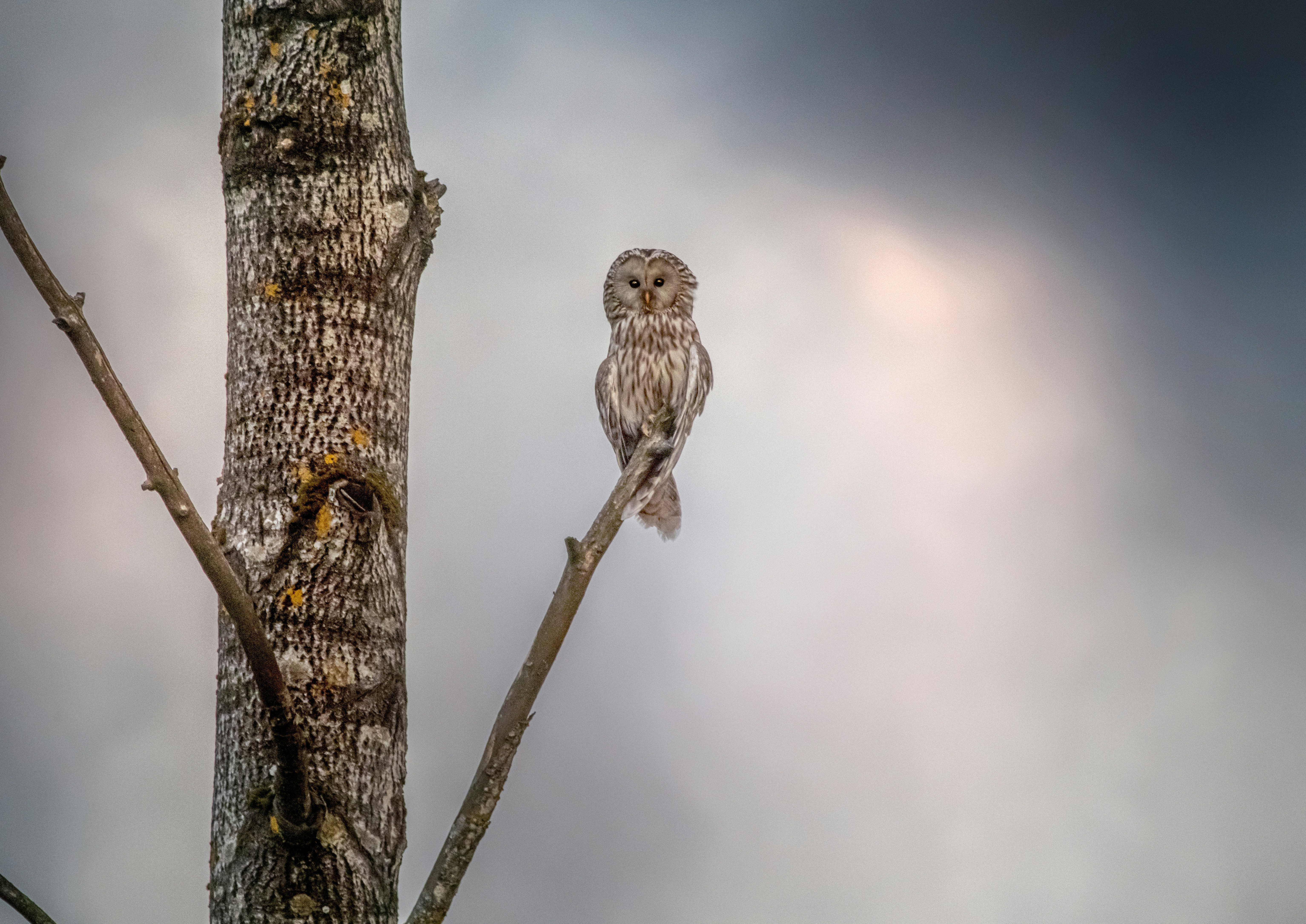 Photo by erik_karits