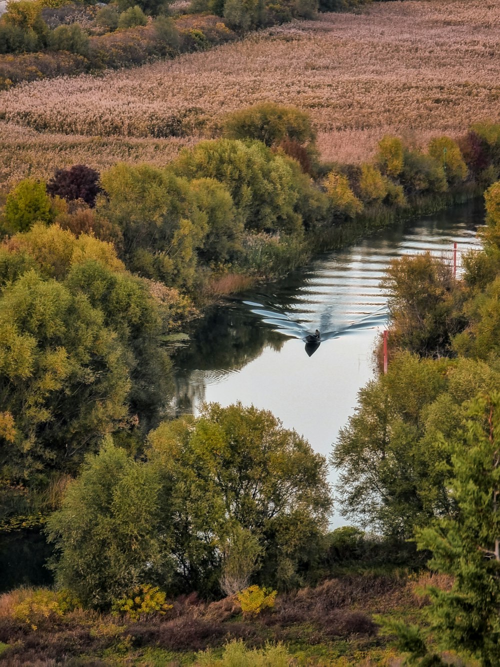 a small boat traveling down a river surrounded by trees