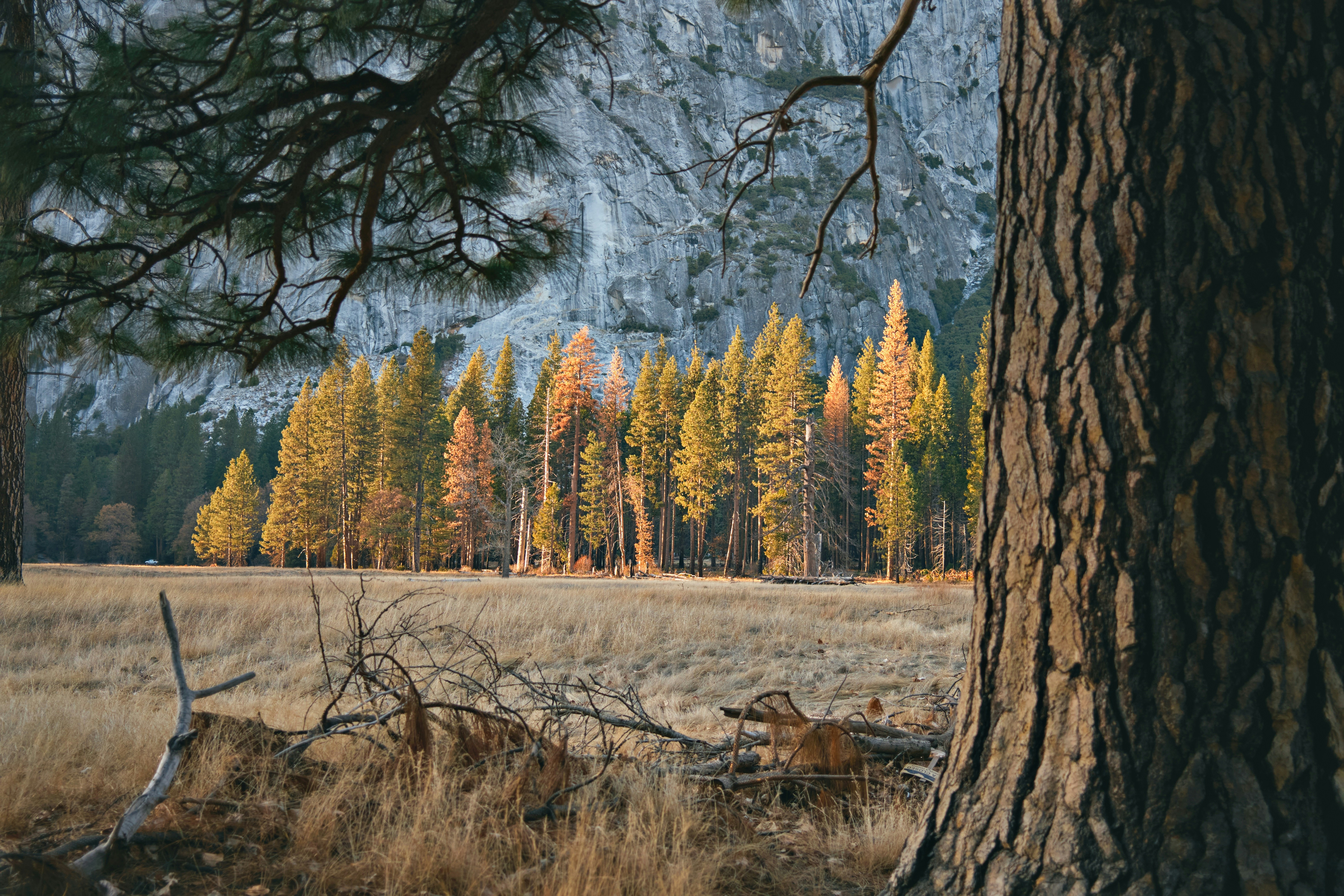 Photo by nathanguzman