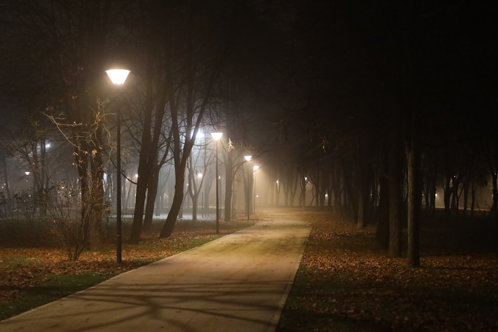 a path in a park at night with street lights