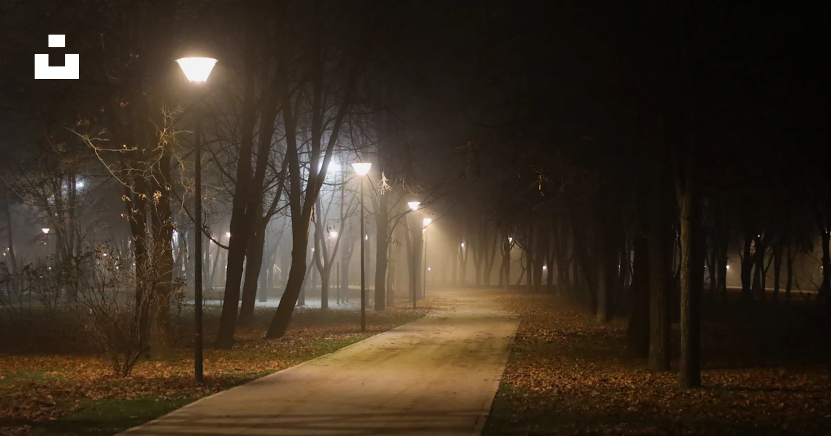 A path in a park at night with street lights photo – Free Moscow Image ...