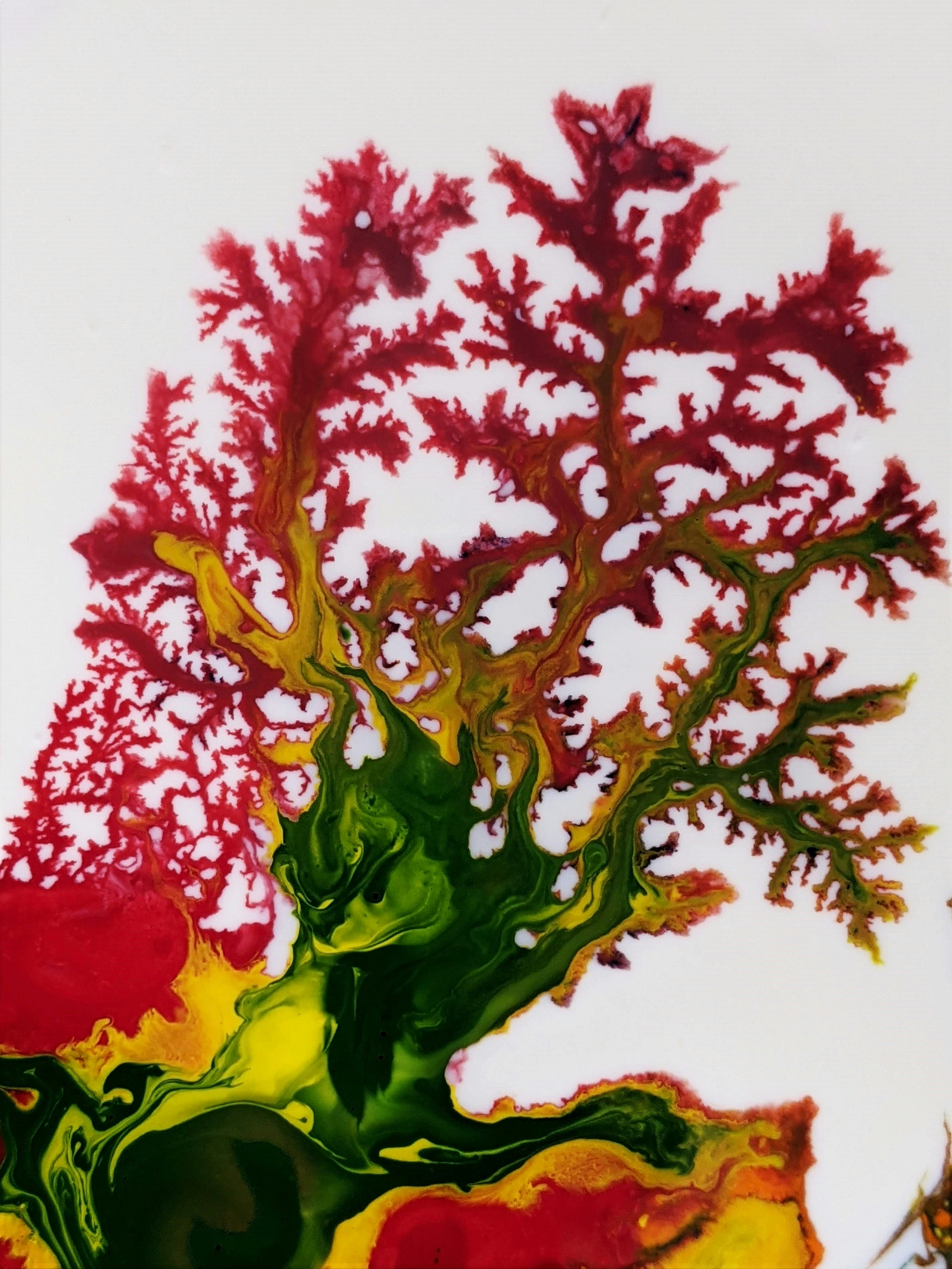 Photo by susan_wilkinson