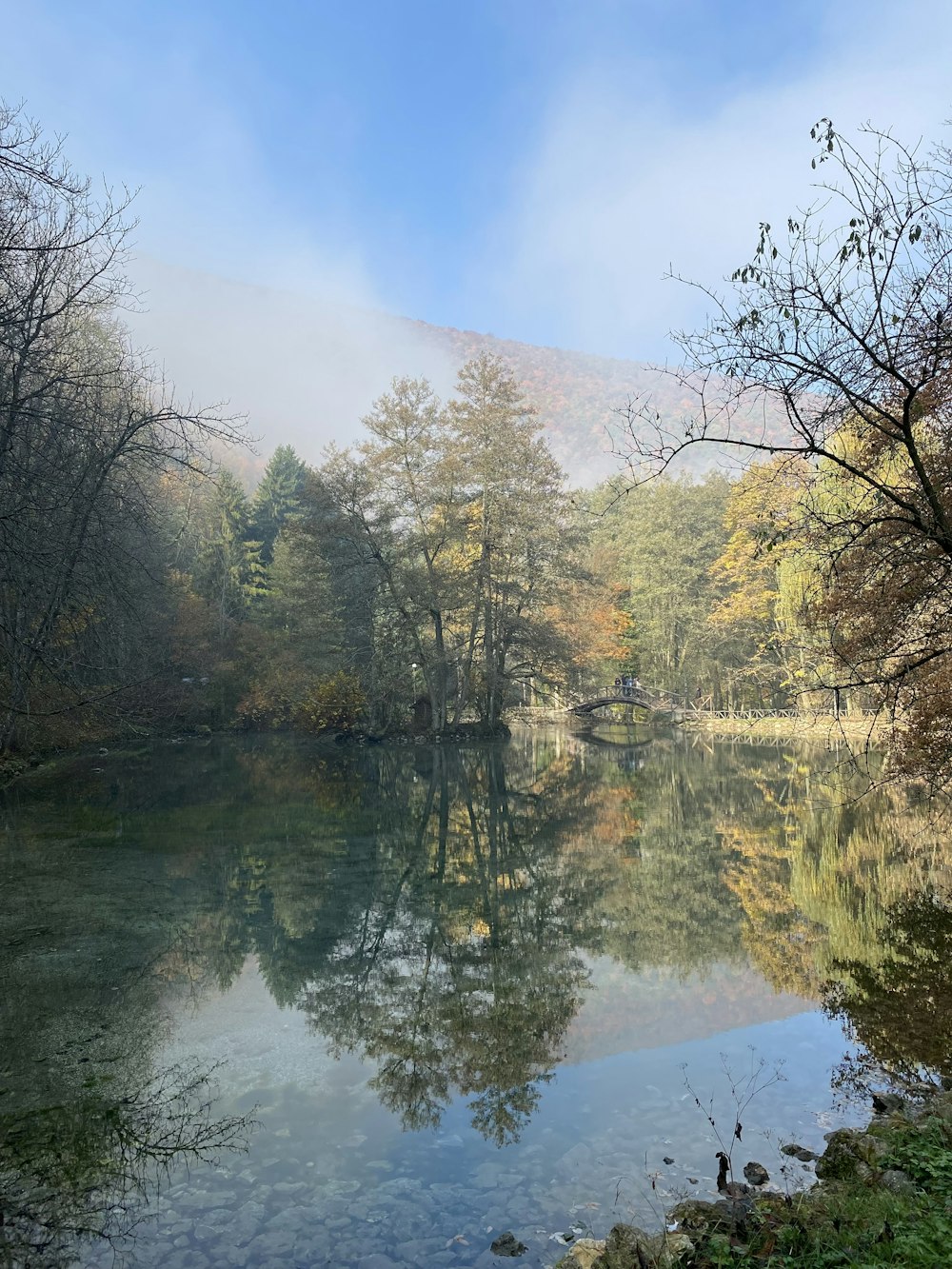 a body of water surrounded by trees and fog