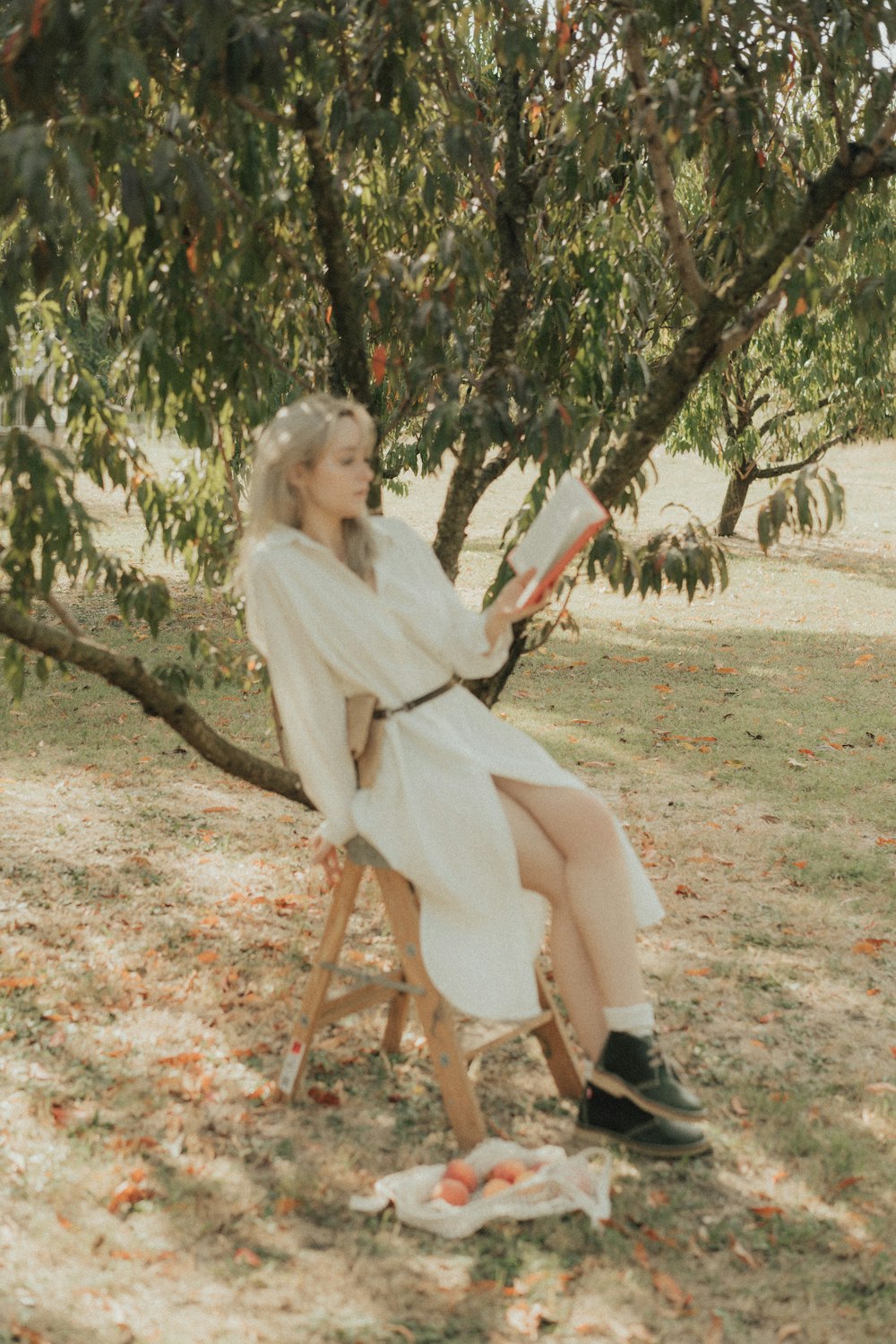 a woman sitting in a chair under a tree