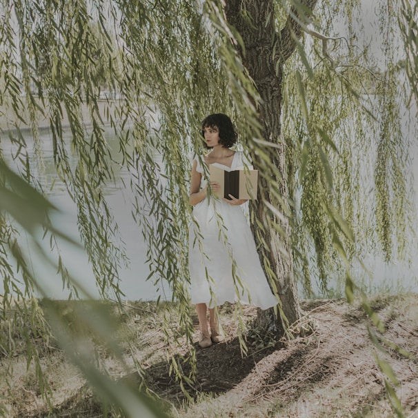 Cover of a Poisonous Pen Press book featuring Willow Ashwood in a misty forest