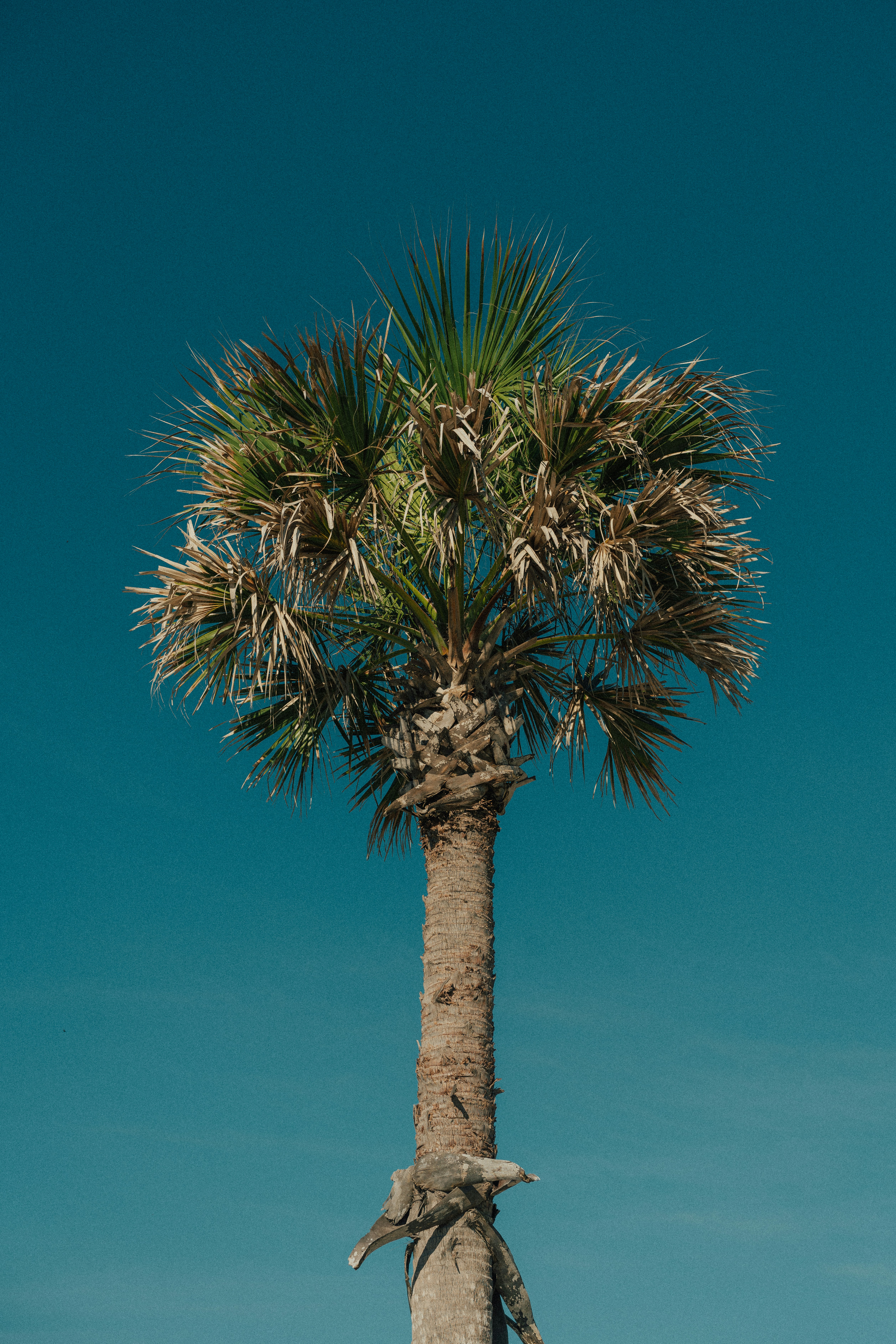 Photo by elise_outside