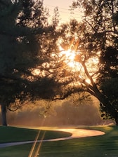 the sun is shining through the trees in the park