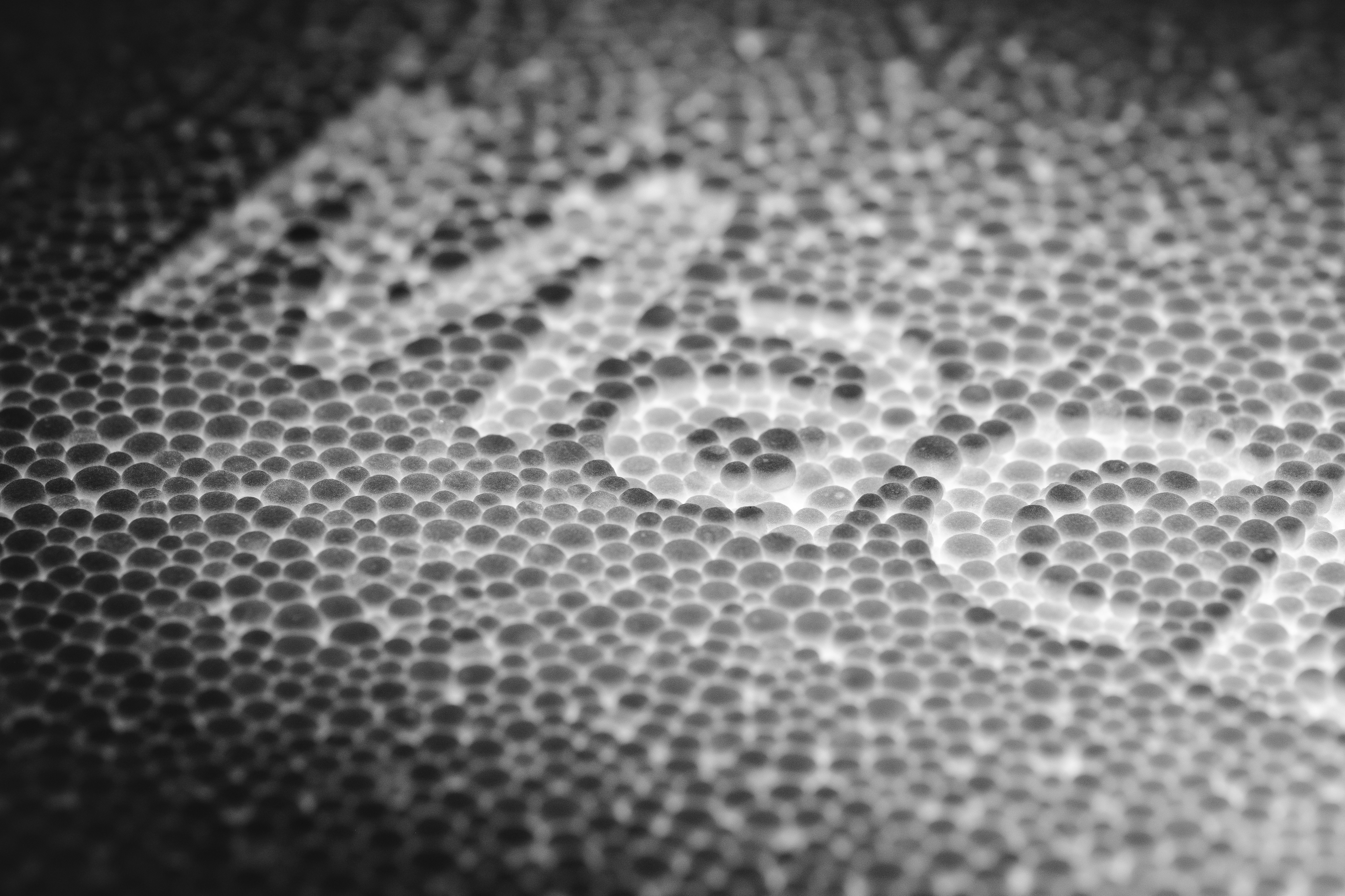Internal microphotograph of Apple M7 coprocessor die layout
