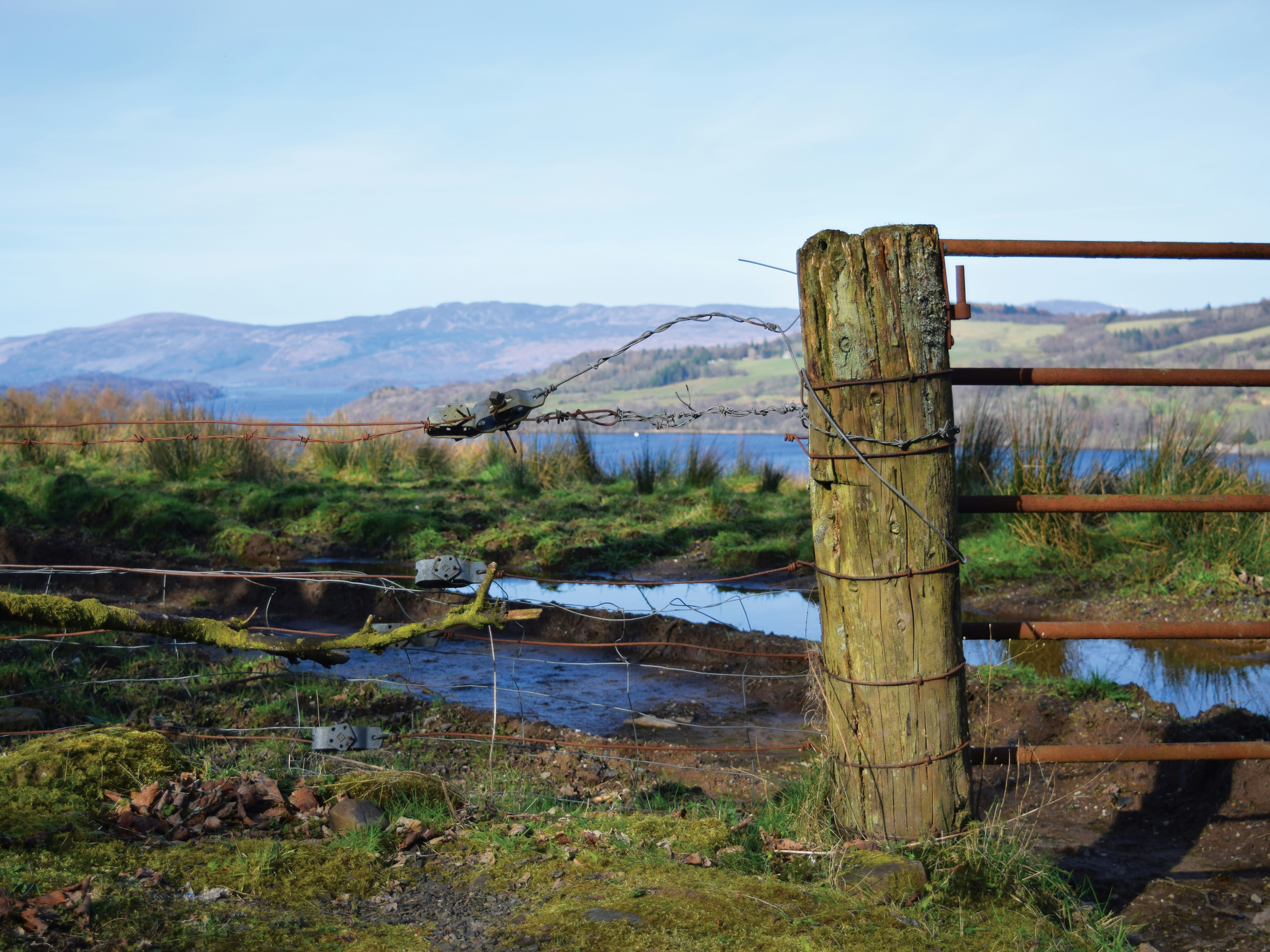 a wooden fence in a grassy field next to a body of water
