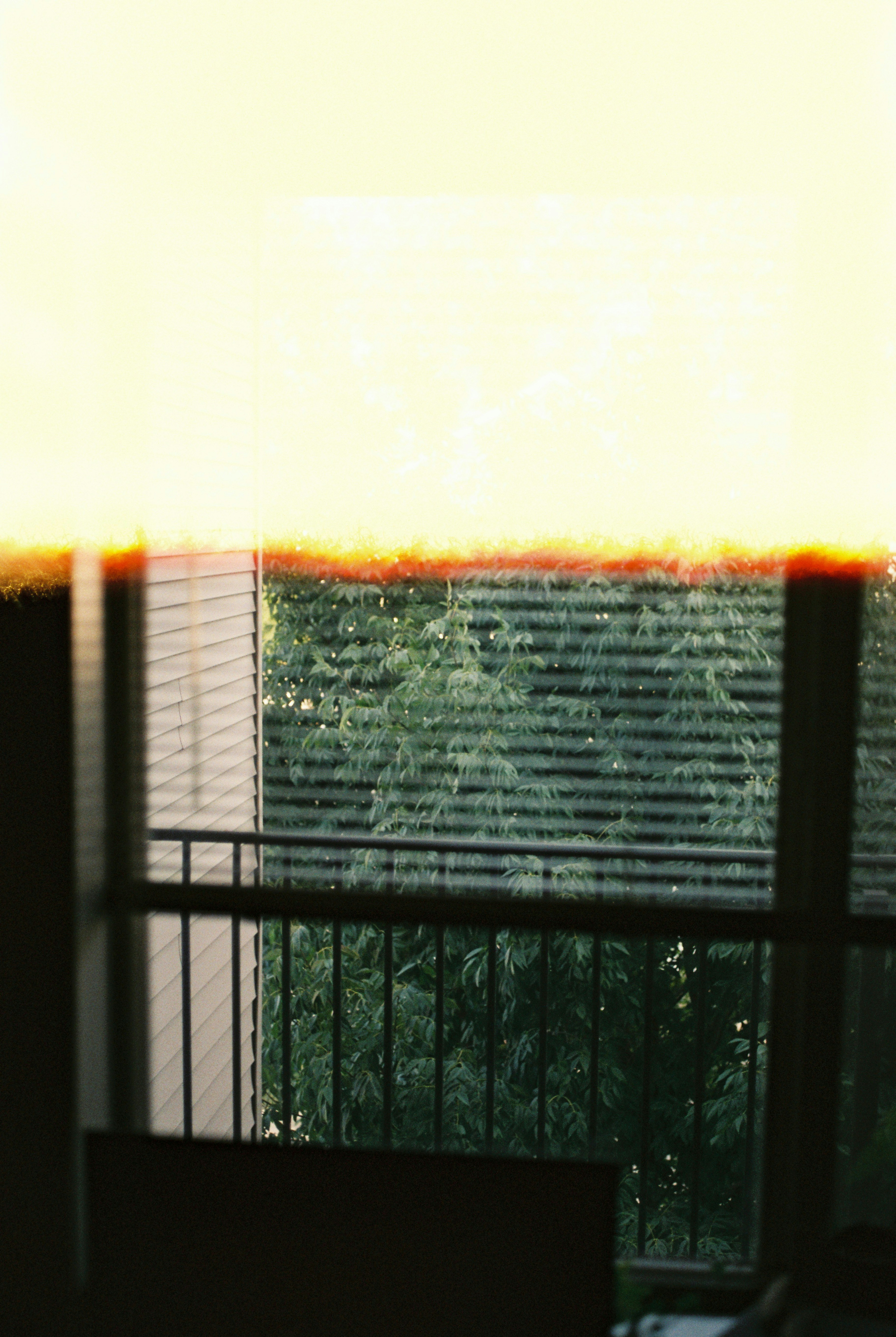 Photo by davispatton