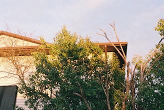 A freshly pressure-washed house siding shining under the Florida sun.