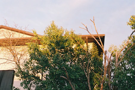 A newly installed roof with clean siding on a charming home bathed in warm afternoon light.